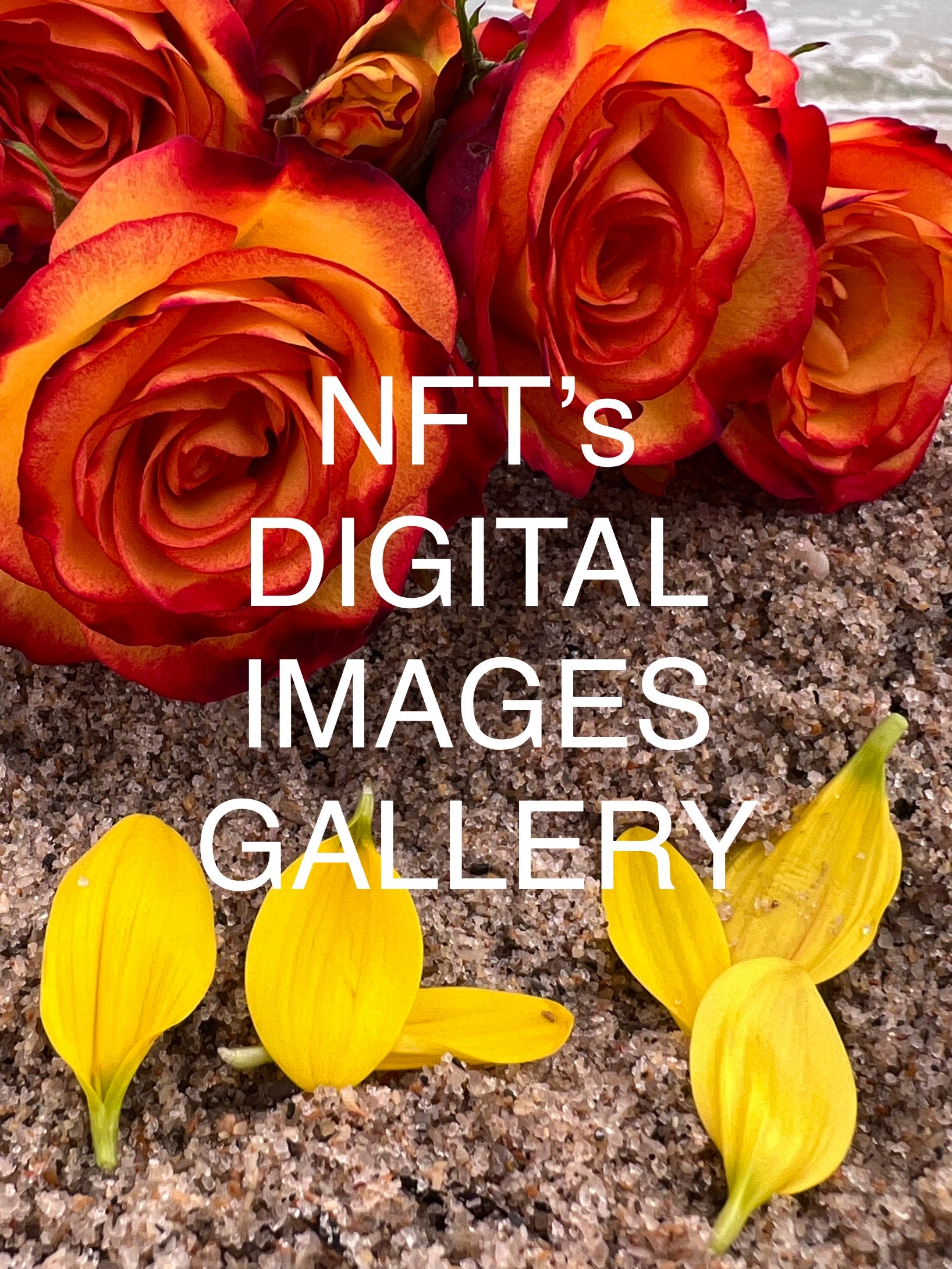 NFT's - Digital Art Gallery