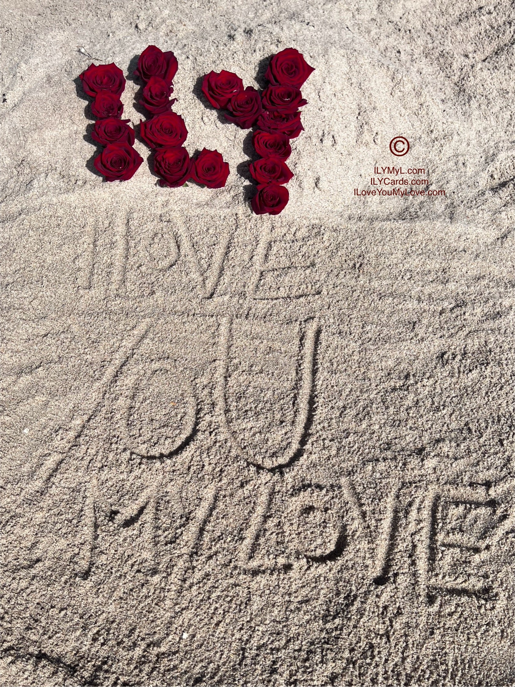 ILY Art Digital Image® Where Crimson Blooms Speak the Language of Love: A Rose for Every Beat and ILoveYouMyLove for Every Breath - NFTs HD DIGITAL ART IMAGE