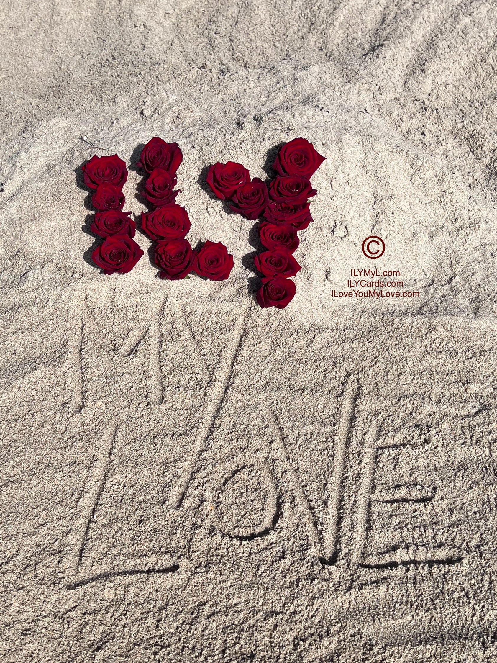 ILY Art Digital Image® Where Crimson Blooms Speak the Language of Love: A Rose for Every Beat and ILoveYouMyLove for Every Breath - NFTs HD DIGITAL ART IMAGE