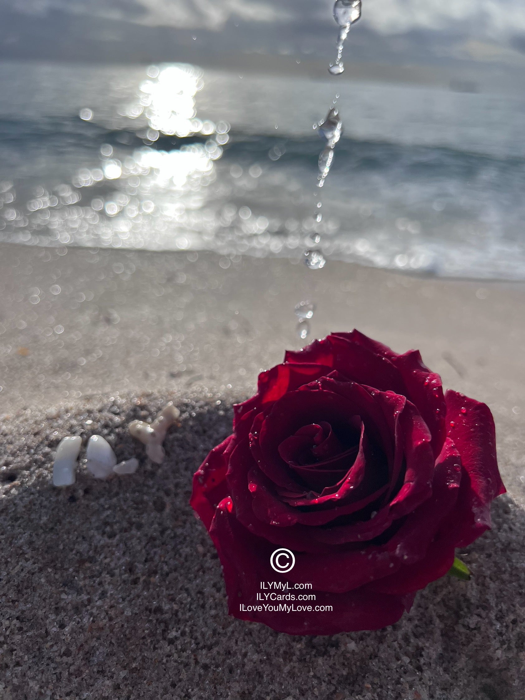 ILY Art Digital Image® Where the Ocean Whispers "I Love You My Love": A Testament of Forever MyLove - NFTs HD DIGITAL ART IMAGE