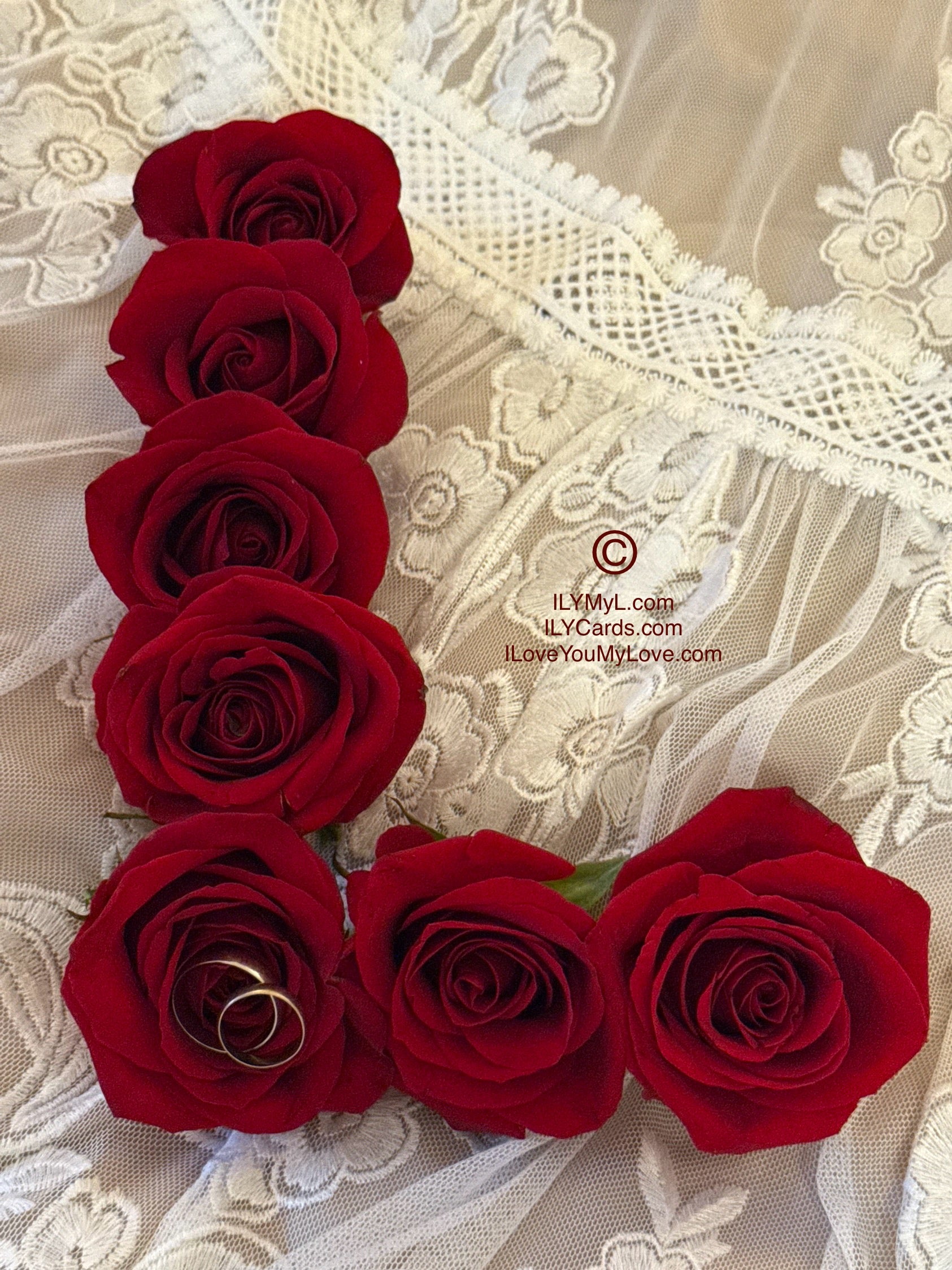 ILY Art Digital Image® In the Language of Love and Roses: The Eternal Yes Between Destined Souls - ILY Digital Message