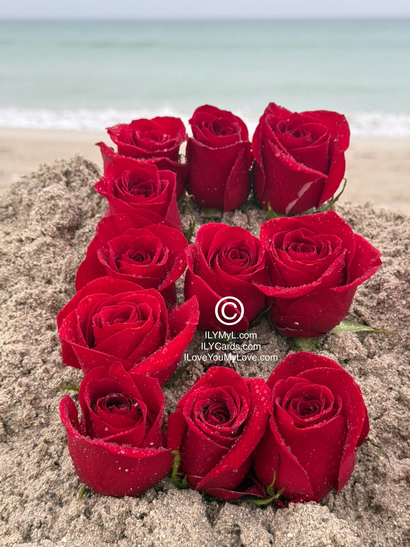 ILY Card® - 'E' From The Alphabet of Love: Roses that Spell Destined LOVE September 18 Forever - 8.25 x 5.25 Folding Color Paper Card