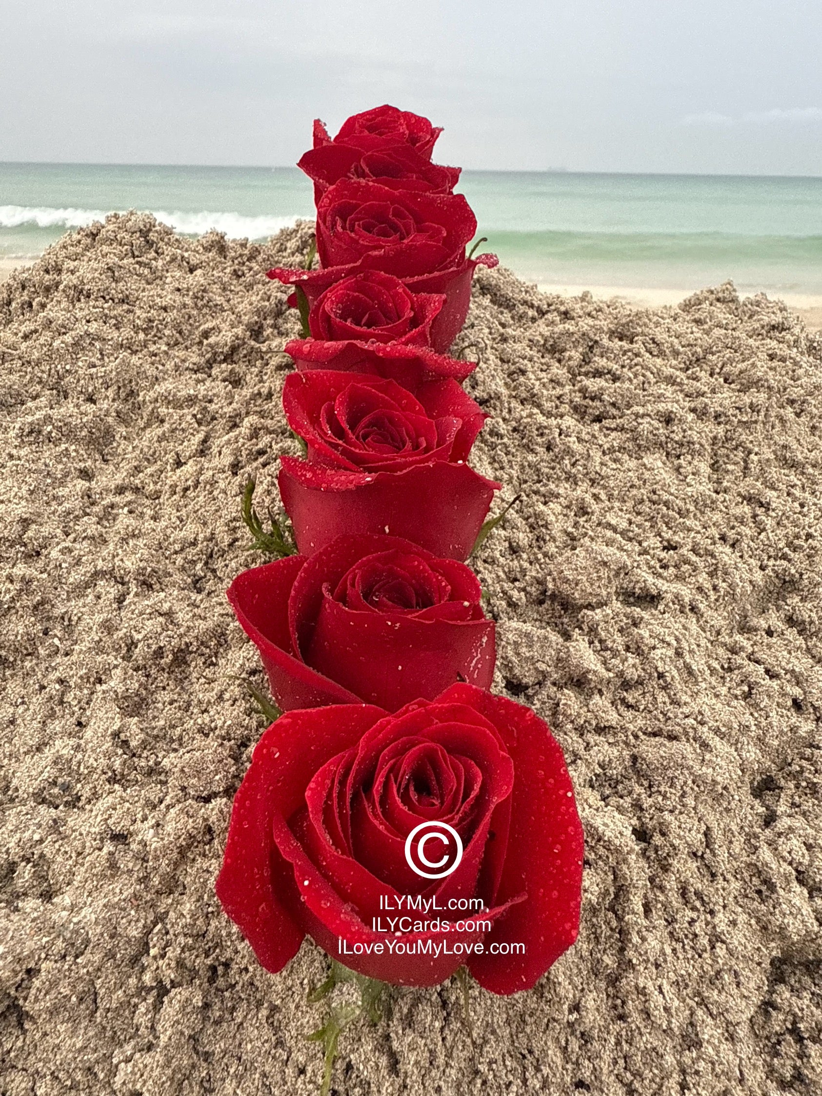 ILY Card® - 'I' From The Alphabet of Love: Roses that Spell Destined LOVE  - 8.25 x 5.25 Folding Color Paper Card