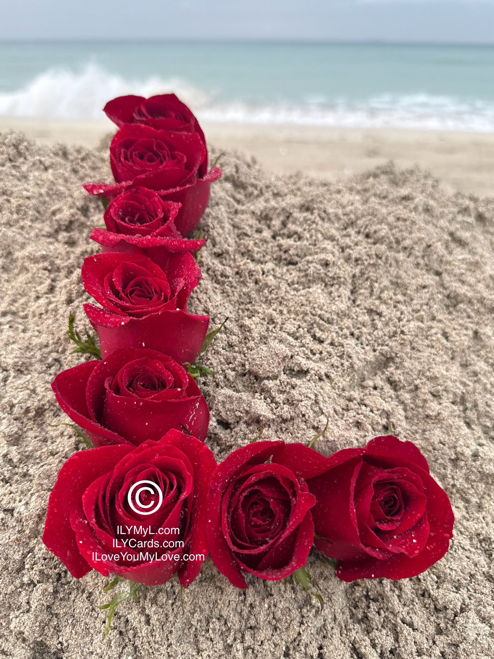 ILY Card® - 'L' From The Alphabet of Love: Roses that Spell Destined LOVE  - 8.25 x 5.25 Folding Color Paper Card