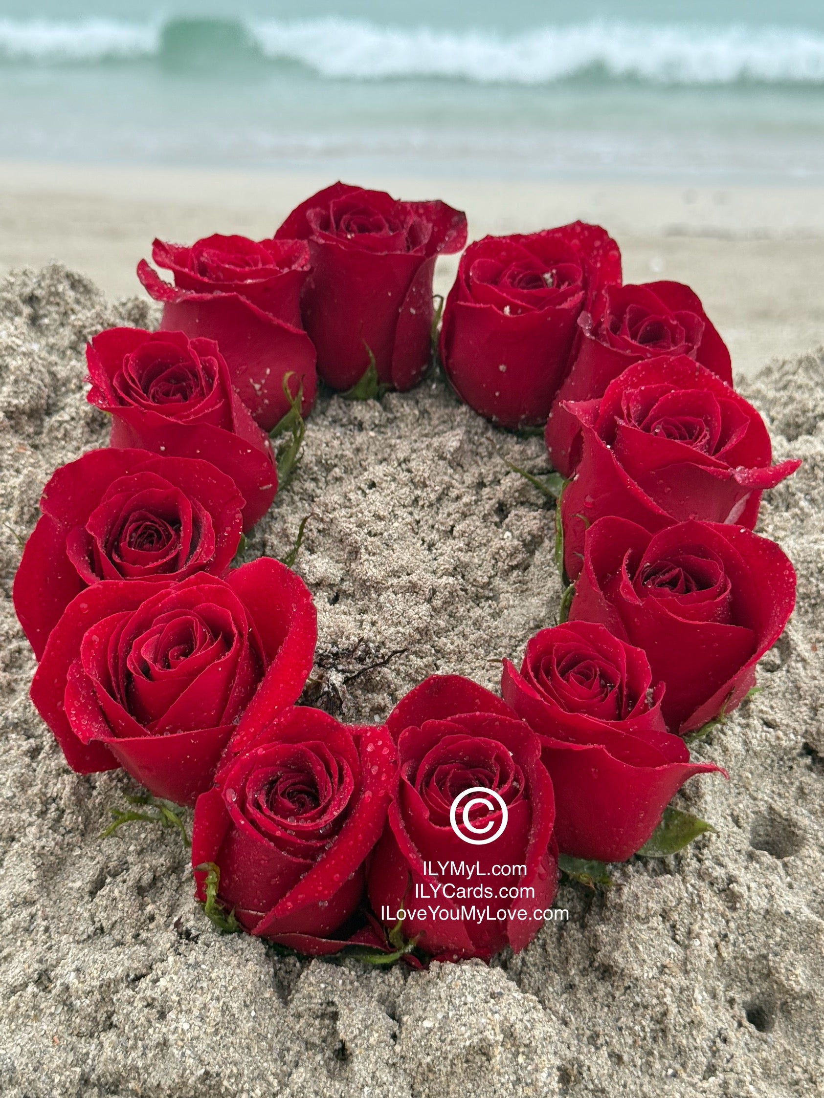 ILY Art Digital Image® - 'O' From The Alphabet of Love: Roses that Spell Destined LOVE. - ILY Digital Message