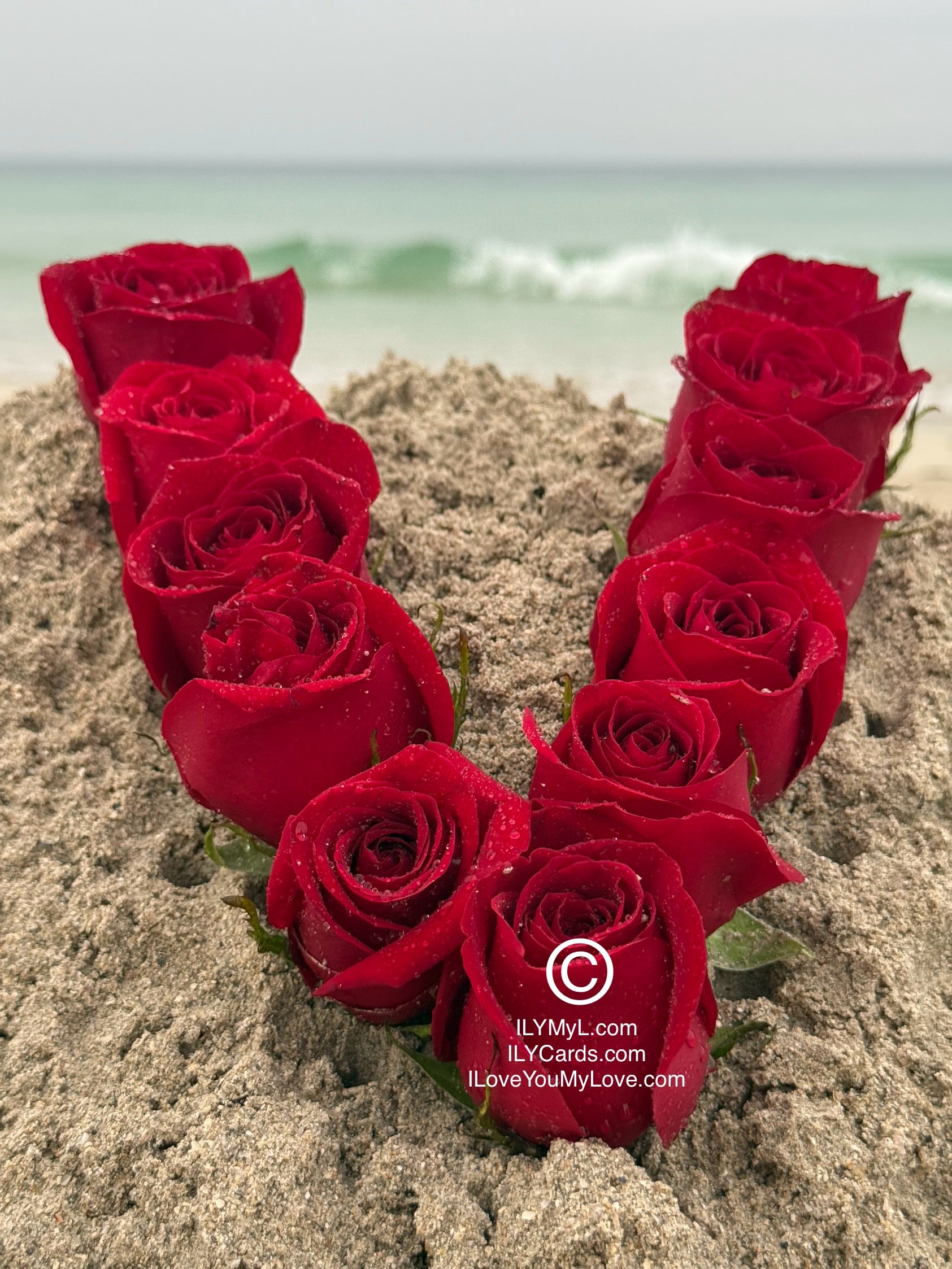 ILY Art Digital Image® - 'V' From The Alphabet of Love: Roses that Spell Destined LOVE. - ILY Digital Message