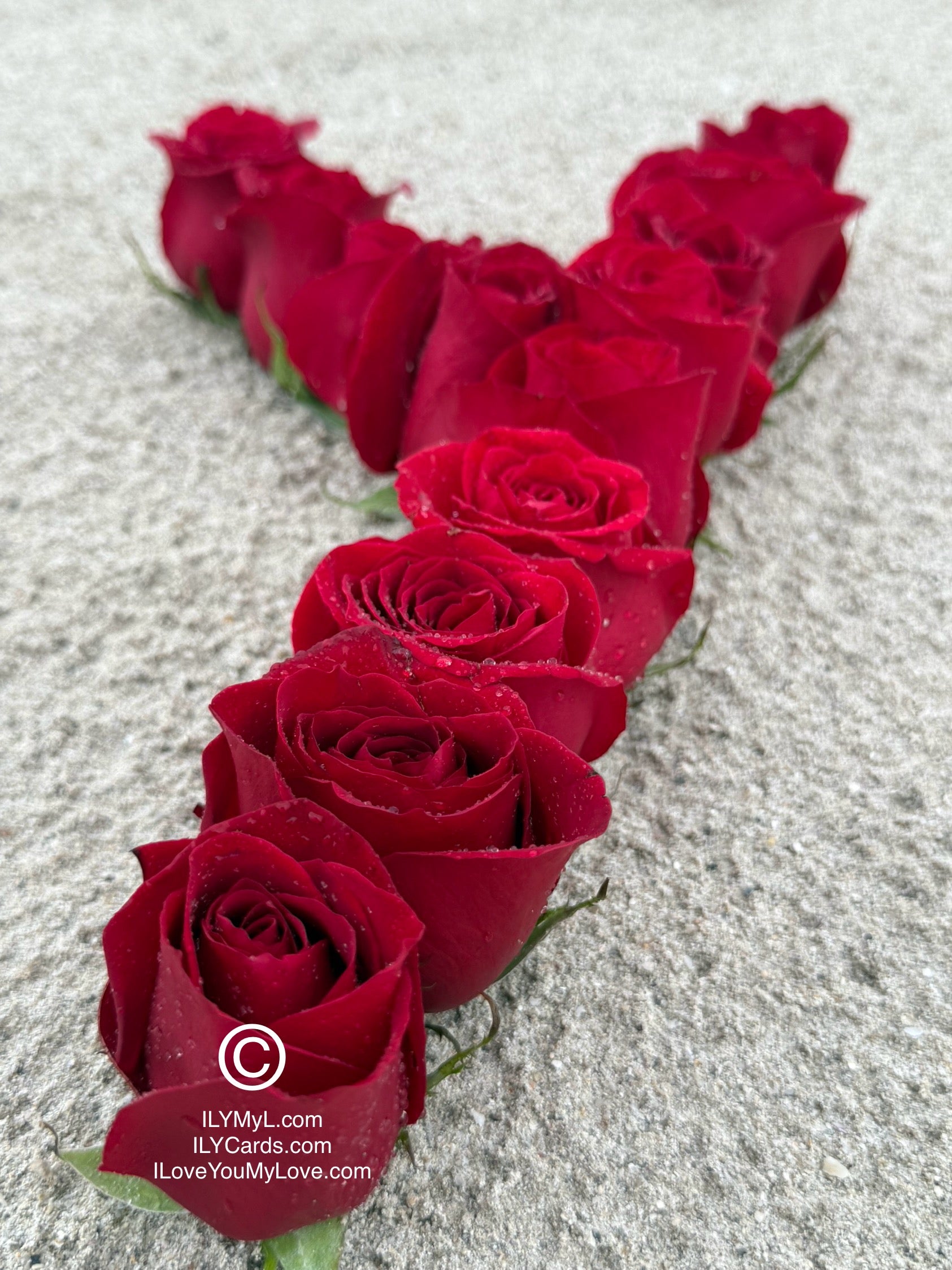 ILY Art Digital Image® - 'Y' From The Alphabet of Love: Roses that Spell Destined LOVE. - ILY Digital Message