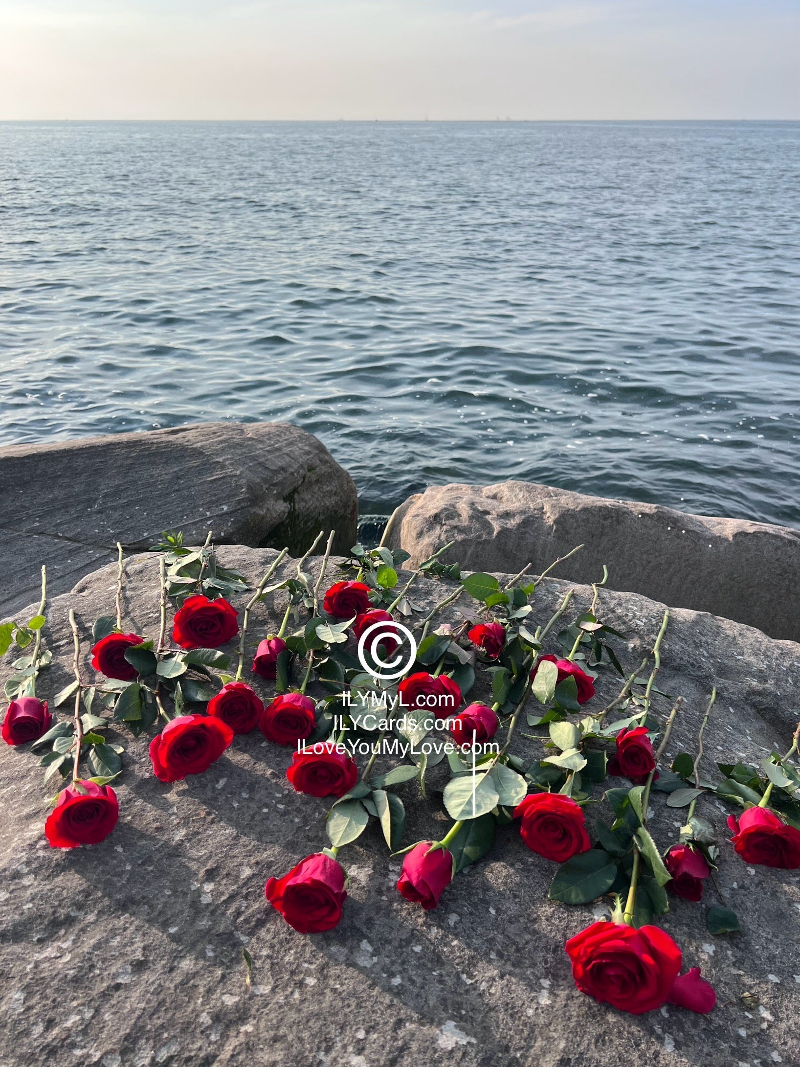 ILY Art Digital Image® Love's Panorama: A Symphony of Roses, Waters, and Skies - NFTs HD DIGITAL ART IMAGE