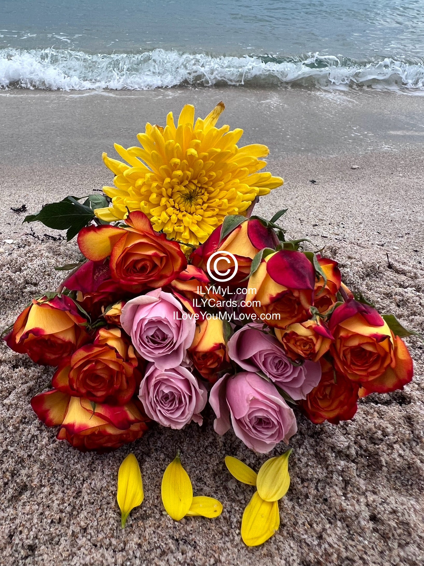 ILY Card® The Dance of Time: A Symphony of Two Souls And Our Love Journey Together - 8.25 x 5.25 Folding Color Paper Card