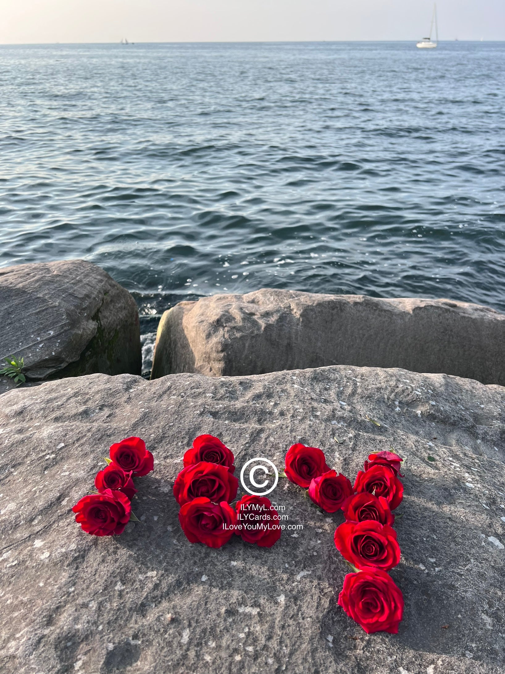 ILY Card® Azure Expanse Full Bloom Crimson Roses ILY - I Love You Embrace - 8.25 X 5.25 Folding Color Paper Card