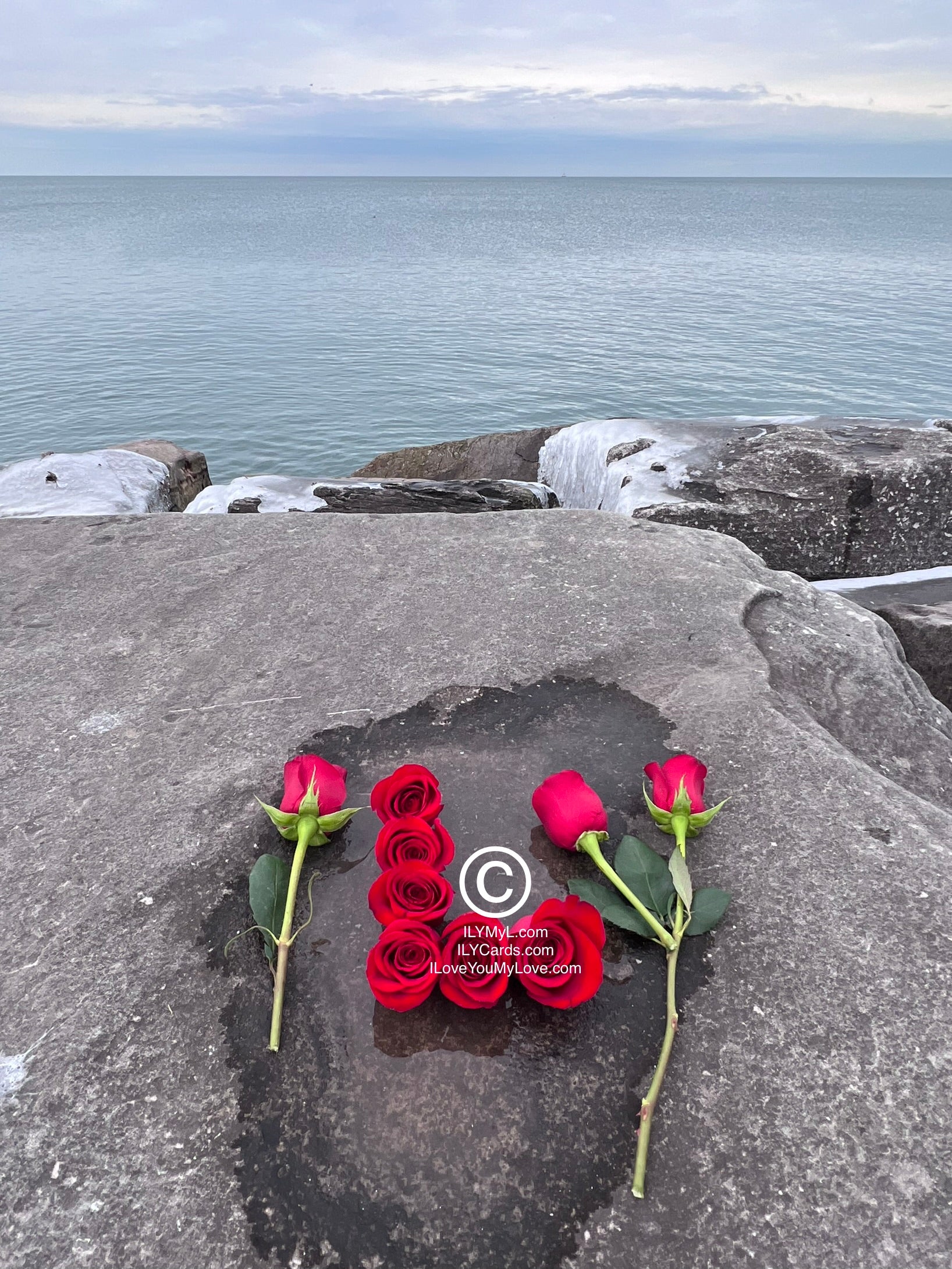 ILY Card® Blue Horizon L-LOVE Dual Roses Amorous Panorama - 8.25 X 5.25 Folding Color Paper Card