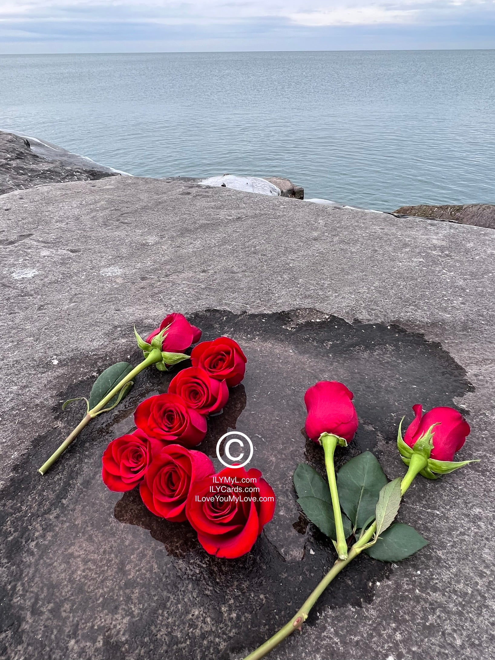 ILY Art Digital ImageĀ® Blue Horizon L-LOVE Dual Roses Affectionate Outlook - NFTs HD DIGITAL ART IMAGE