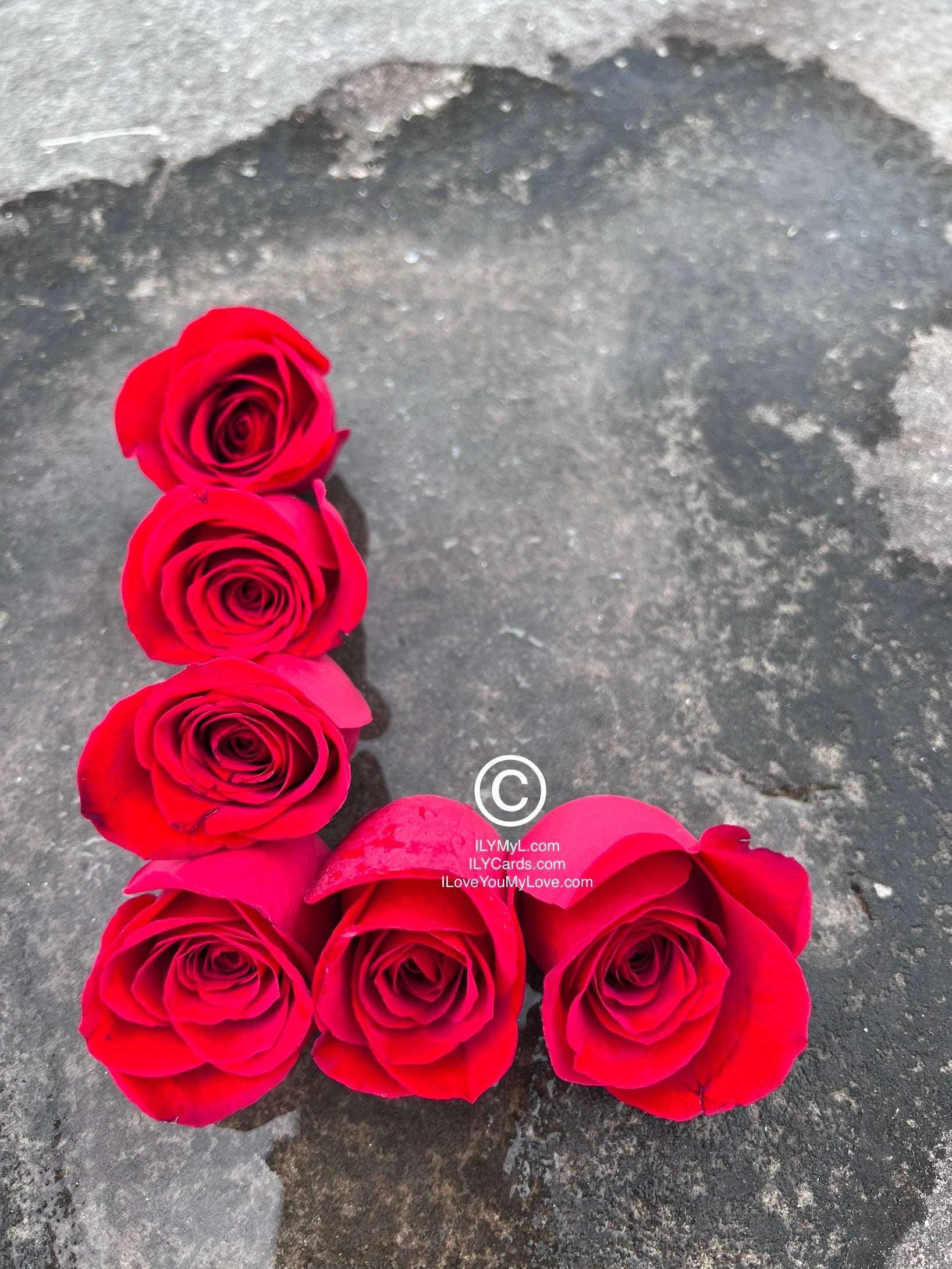ILY Art Digital ImageĀ® Life L-LOVE Full Bloom Crimson Roses Amidst Solid Stone - NFTs HD DIGITAL ART IMAGE