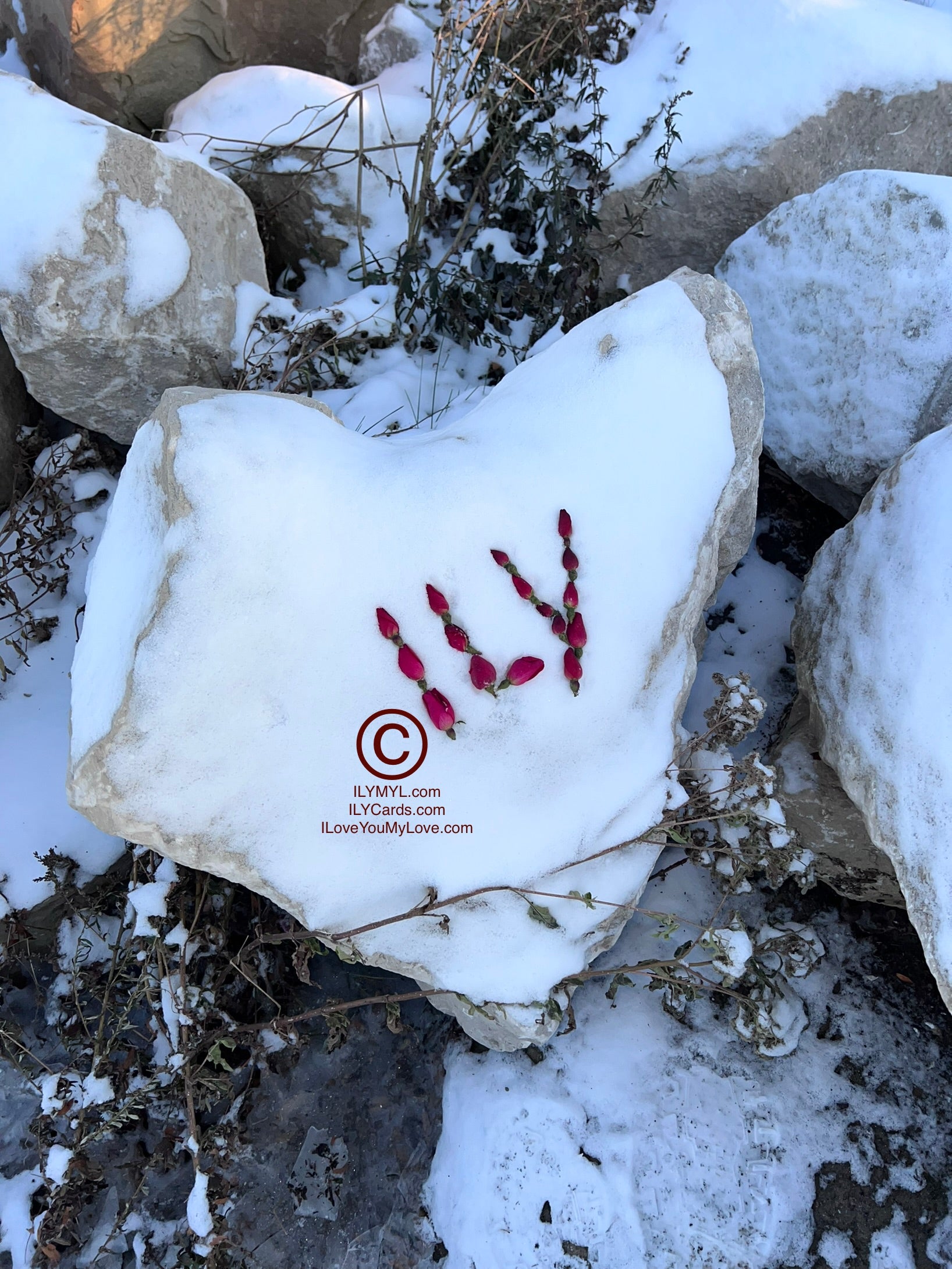 ILY Art Digital ImageĀ® Love Is Everywhere ILY Baby Roses Warm Heart Snow Stone - NFTs HD DIGITAL ART IMAGE