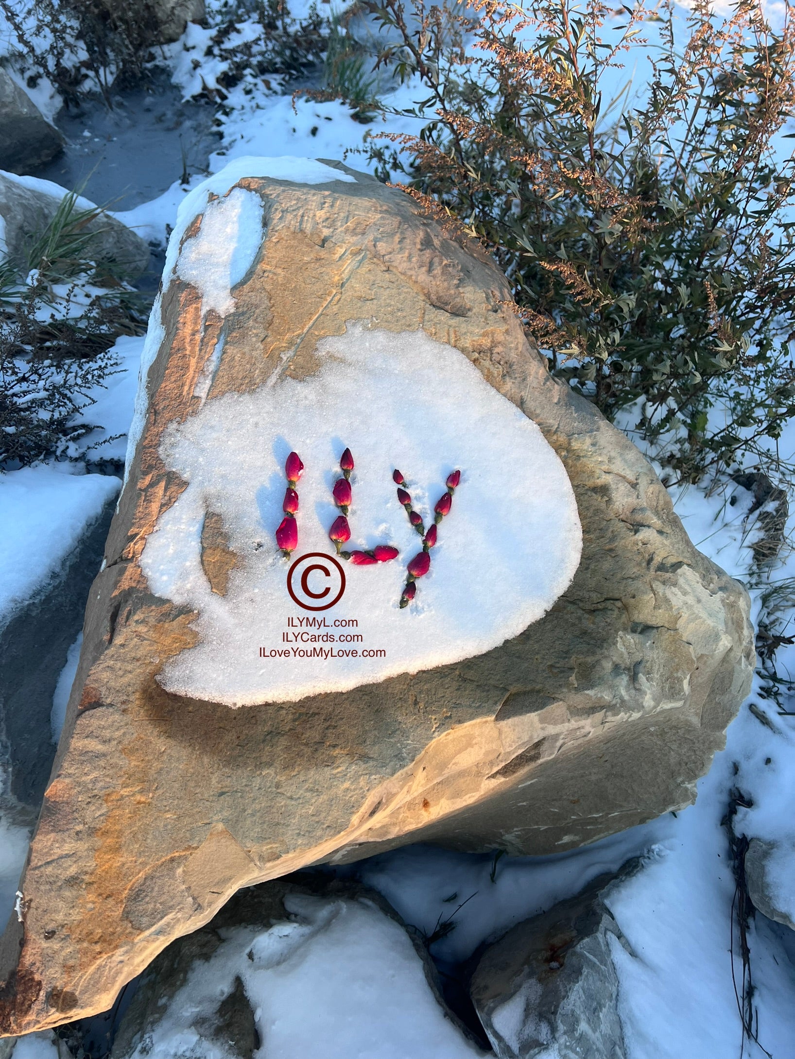 ILY Art Digital ImageĀ® Serendipitous Nature ILY Baby Roses Luminous Stone - NFTs HD DIGITAL ART IMAGE