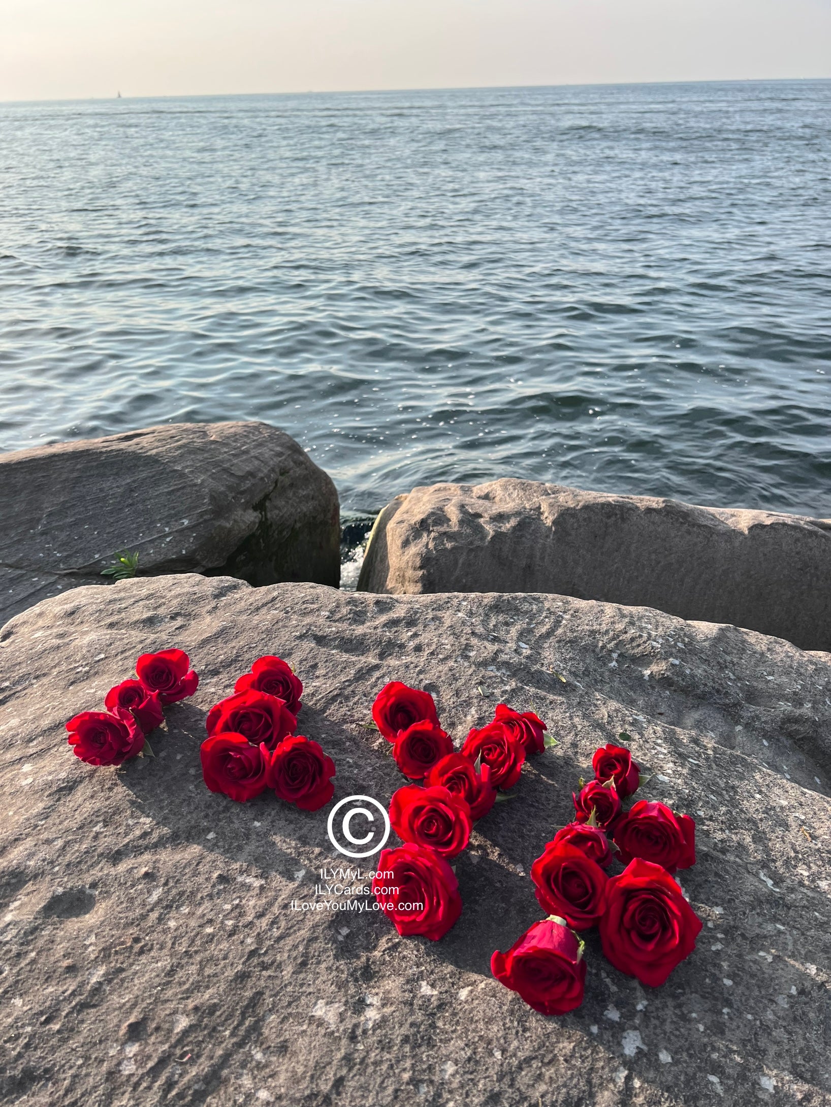 ILY Art Digital ImageĀ® Turquoise Waters Blue Expanse Full Bloom ILYB Red Roses - NFTs HD DIGITAL ART IMAGE
