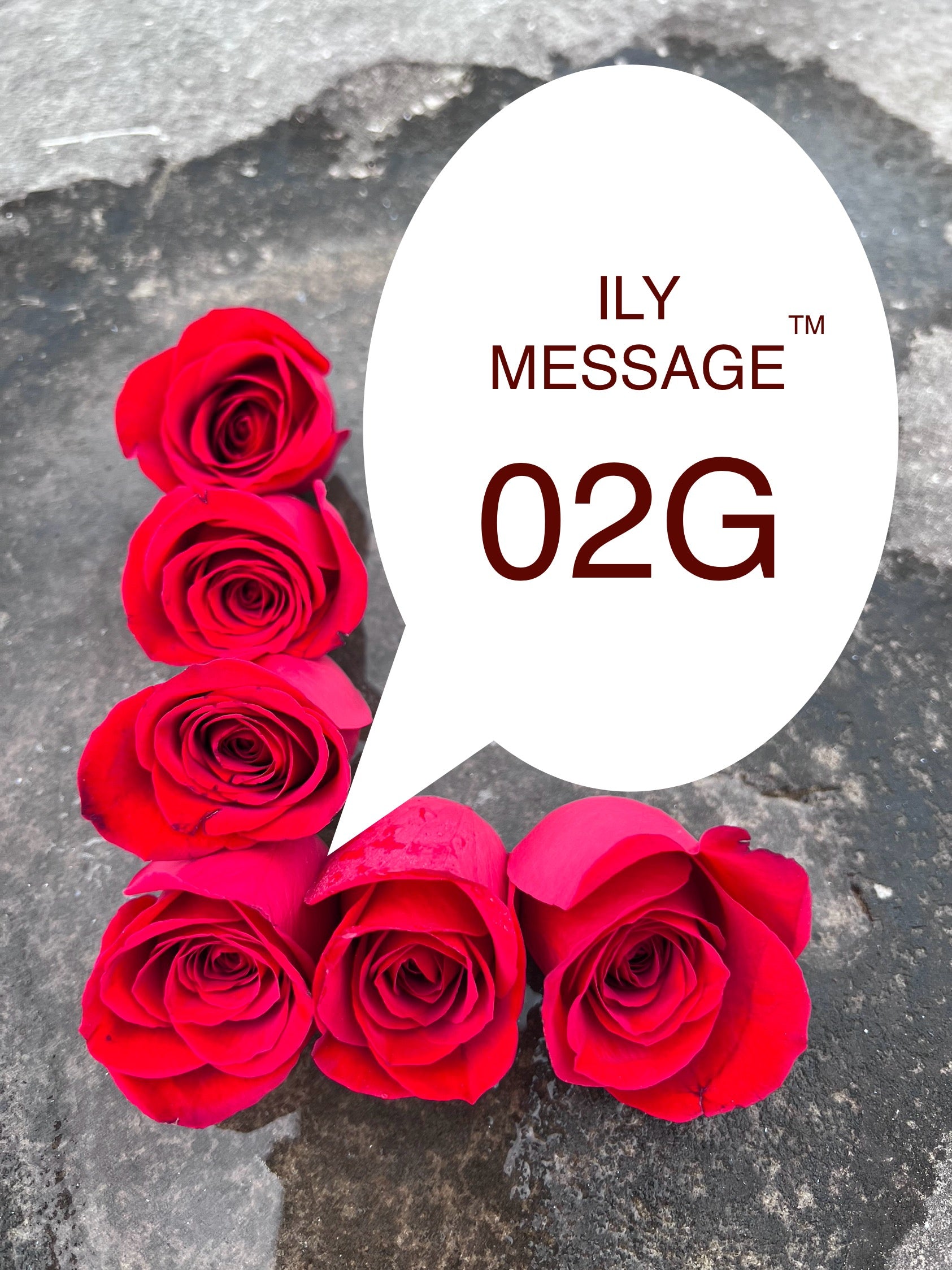 ILY Message® 02ML - My Love, You are my everything - my soulmate, my destiny, and the one who has always been meant to be by my side.