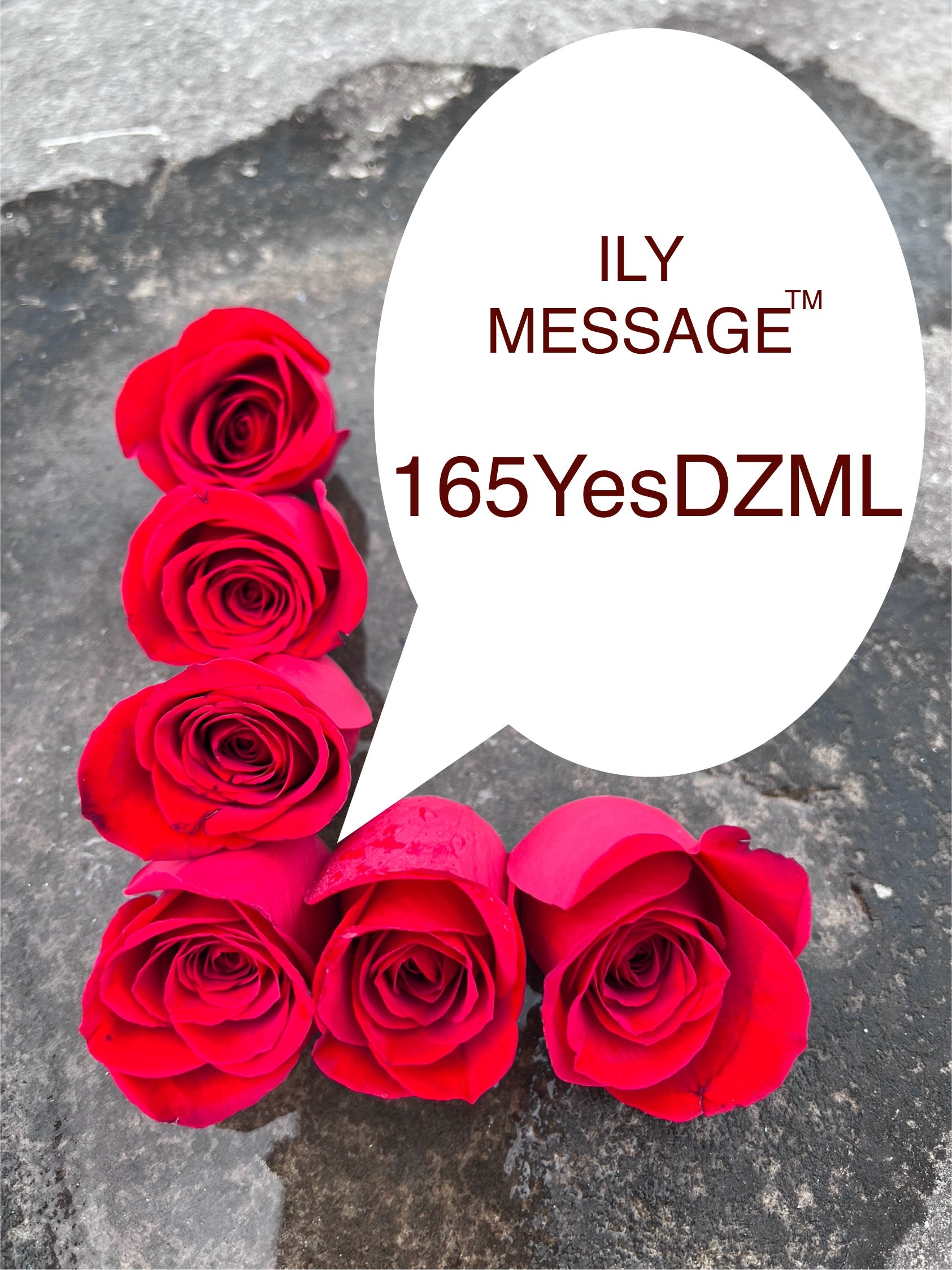 ILY Message® 165YesDZML - Yes My Love, Yes!