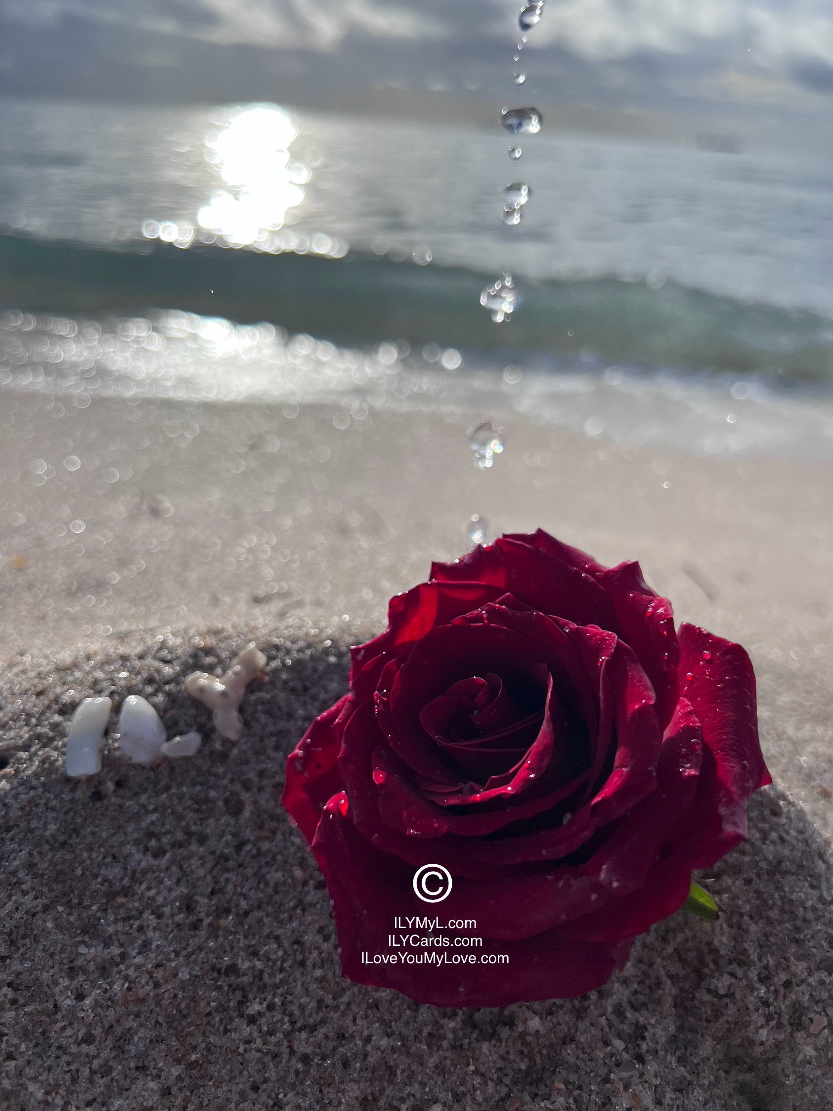 ILY Art Digital Image® Where the Ocean Whispers "I Love You My Love": A Testament of Forever MyLove - NFTs HD DIGITAL ART IMAGE