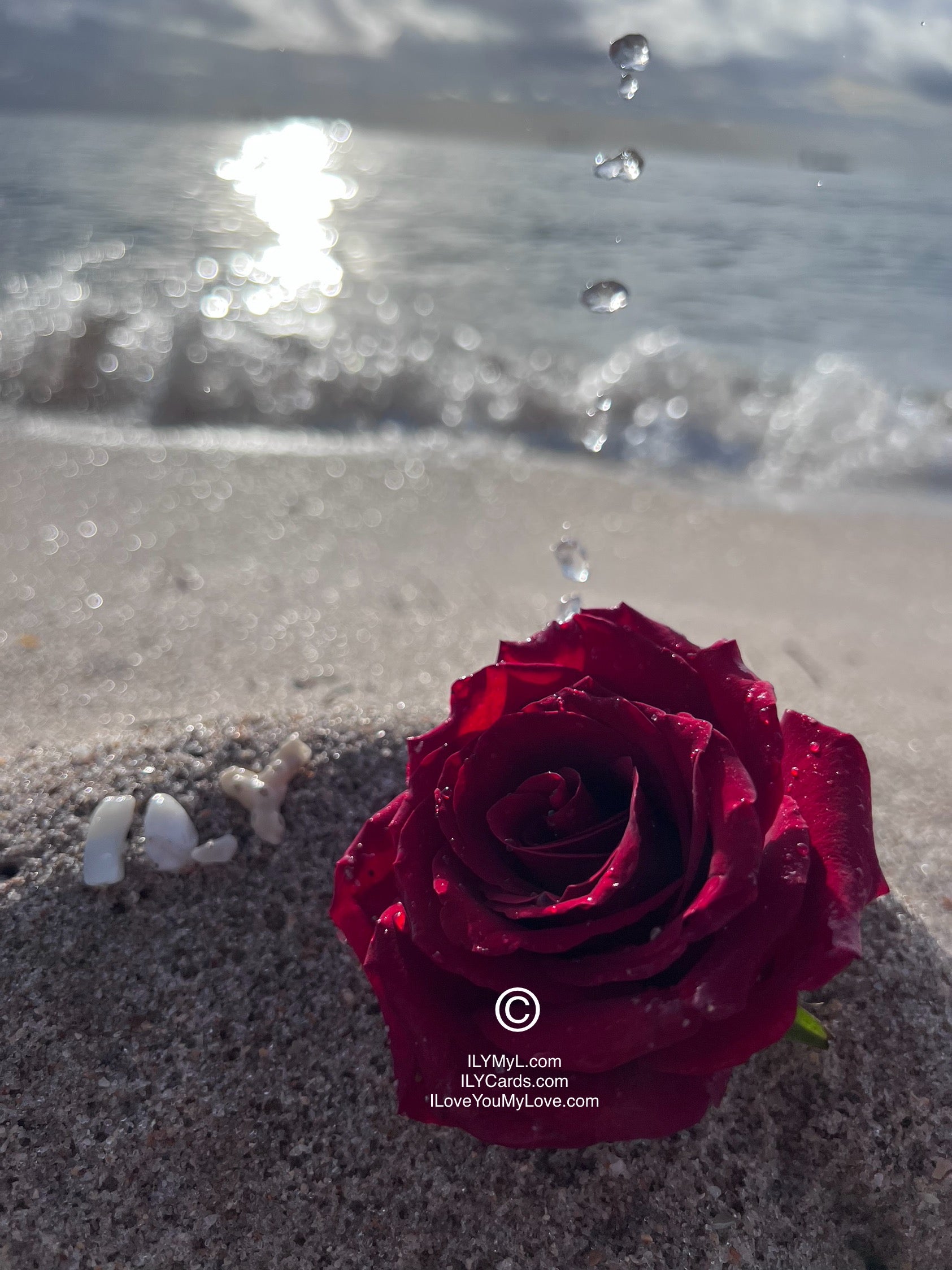 ILY Art Digital Image® Where the Ocean Whispers "I Love You My Love": A Testament of Forever MyLove - NFTs HD DIGITAL ART IMAGE