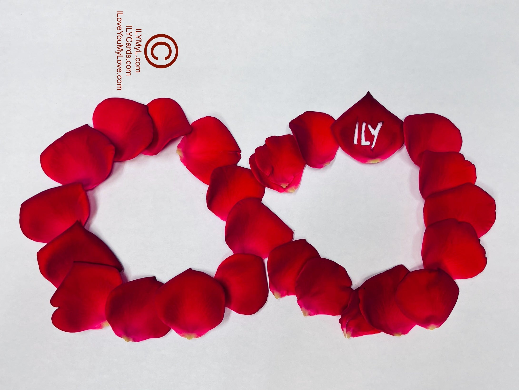 ILY Art Digital Image®  Everlasting Love & Eternal Passion: The Rose-Petal Infinity September 18 Forever! - NFTs HD DIGITAL ART IMAGE