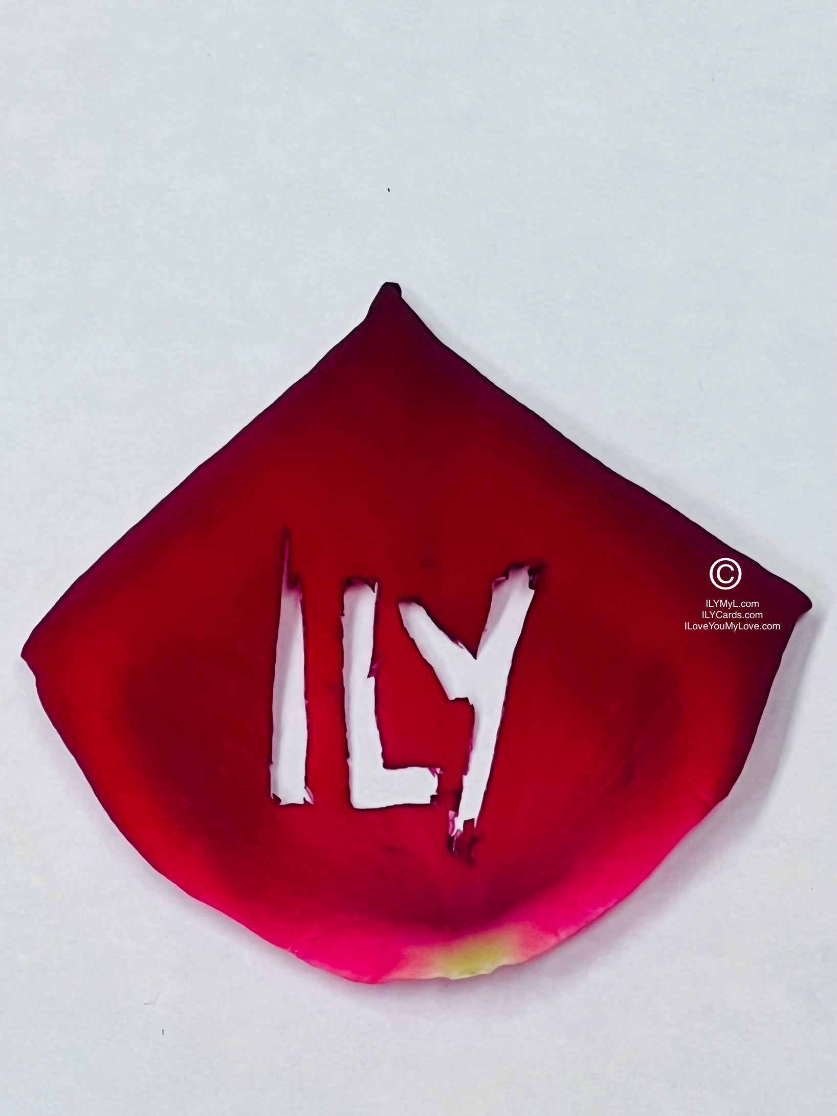 ILY Art Digital Image® The Flame of Love's Purity: The Passion of Destined Souls January 10 Forever - NFTs HD DIGITAL ART IMAGE