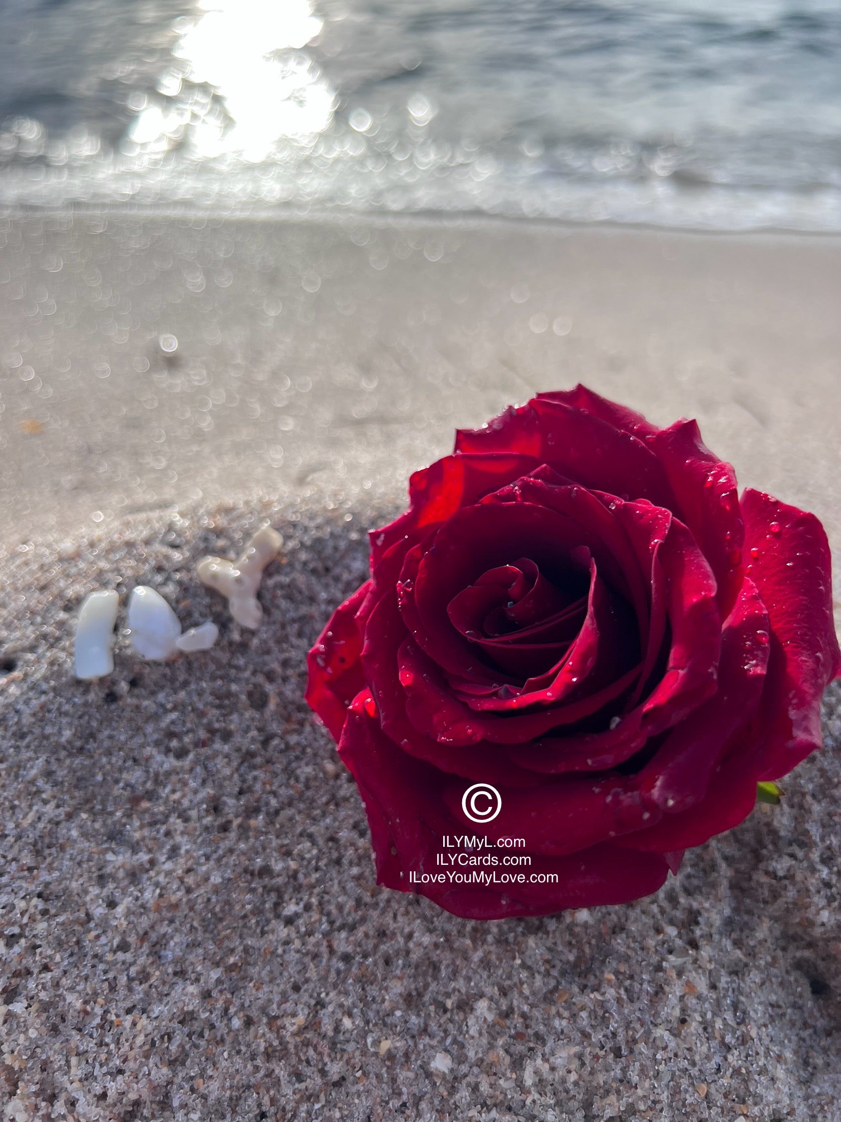 ILY Art Digital Image® Love Etched in Sacred Sand, Sealed by the Sea: An Oath Among Two Destined Souls - NFTs HD DIGITAL ART IMAGE