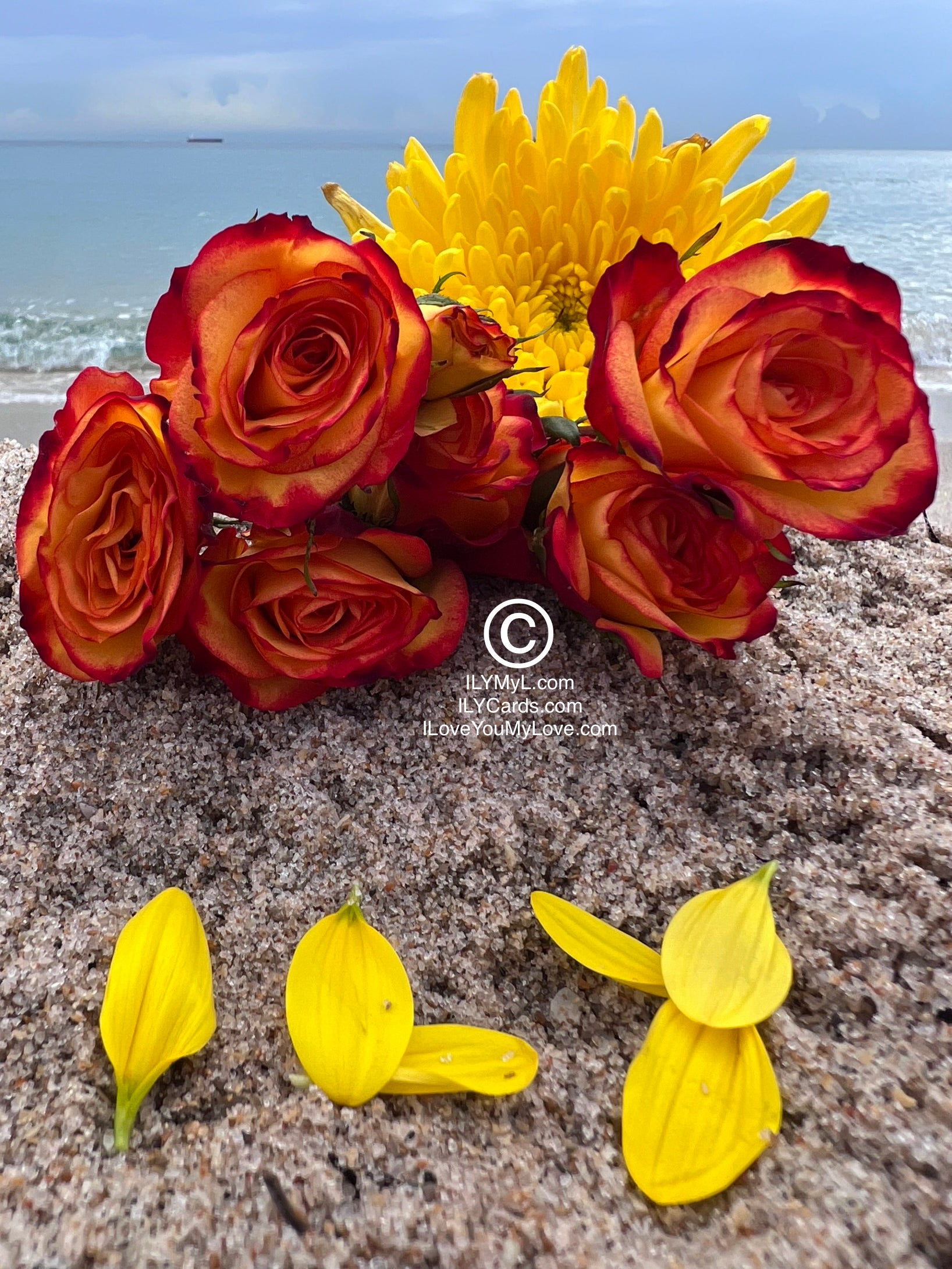 ILY Cards® The Horizon of Our Hearts: A Panorama of Love's Eternity - 8.25 x 5.25 Folding Color Paper Card