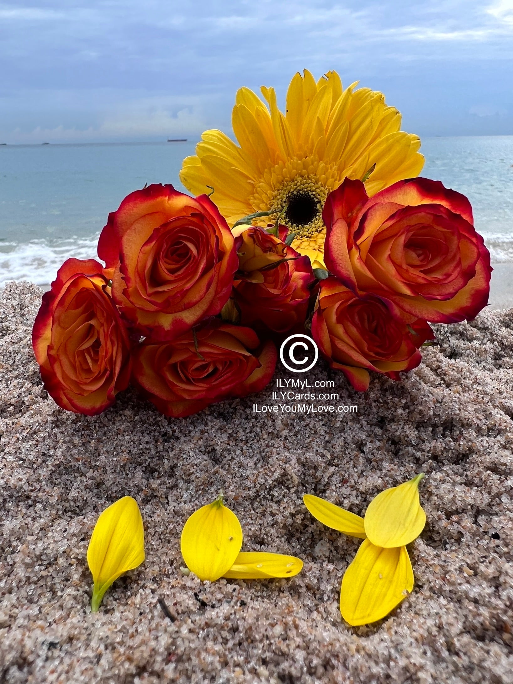 ILY Cards® The Horizon of Our Hearts: A Panorama of Love's Eternity - 8.25 x 5.25 Folding Color Paper Card