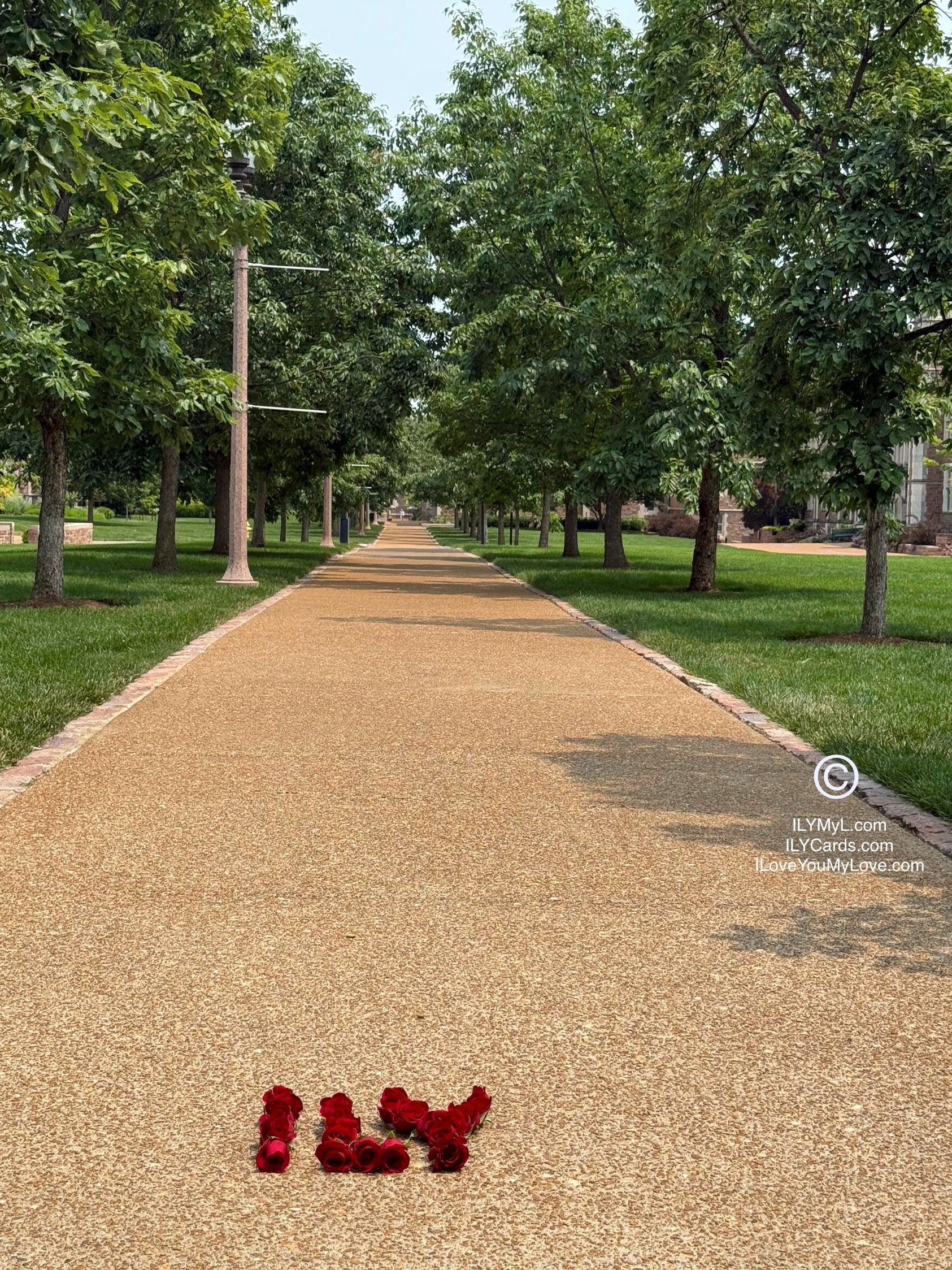 ILY Art Digital Image® WALK THE PATH OF LIFE WITH ME MY LOVE - ILY Digital Message