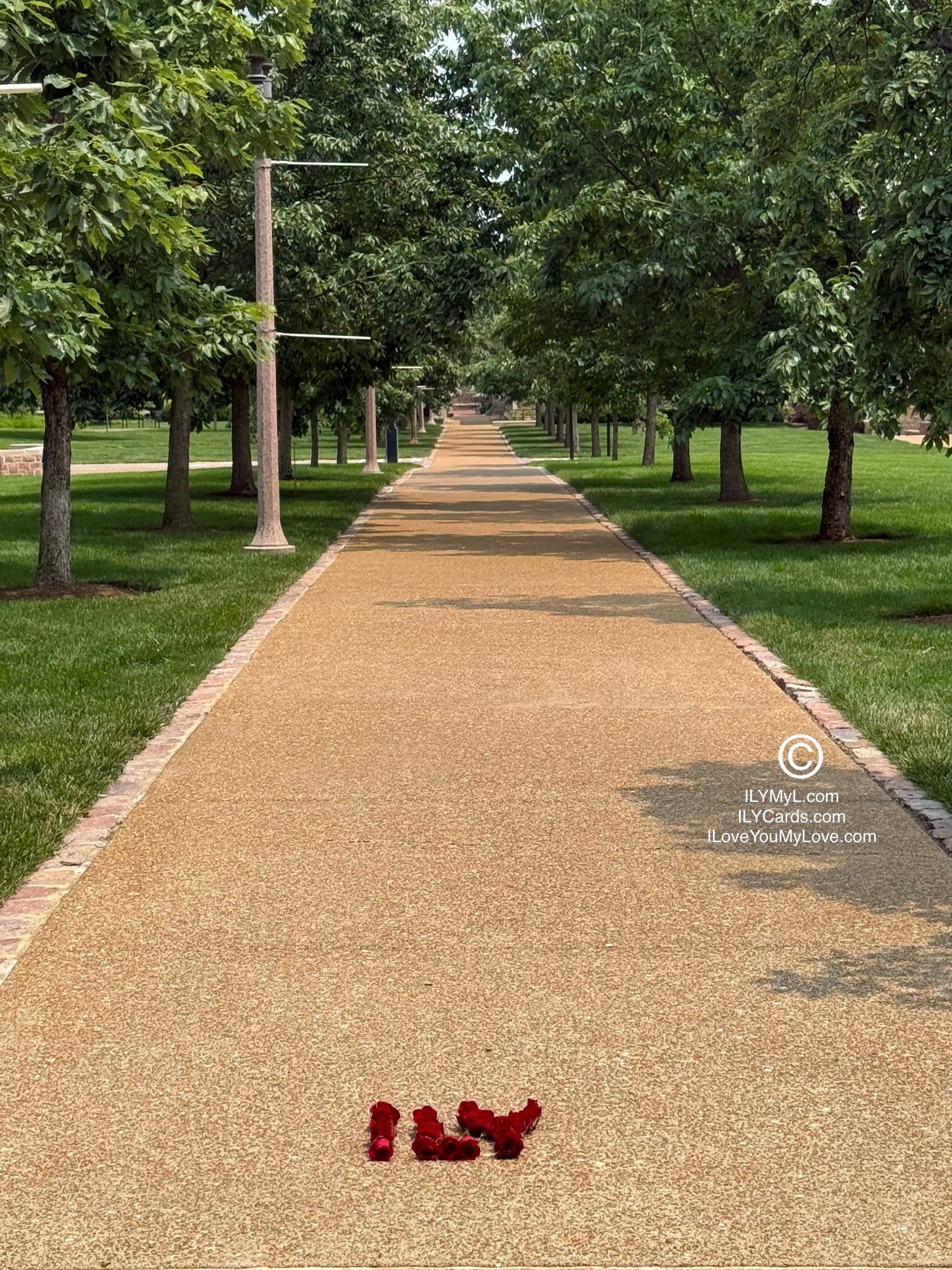 ILY Card® WALK THE PATH OF LIFE WITH ME MY LOVE - 8.25 x 5.25 Folding Color Paper Card