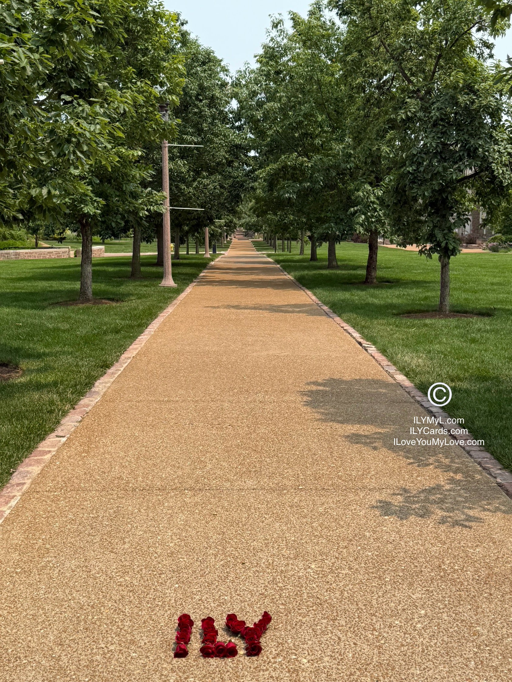 ILY Art Digital Image® WALK THE PATH OF LIFE WITH ME MY LOVE - ILY Digital Message