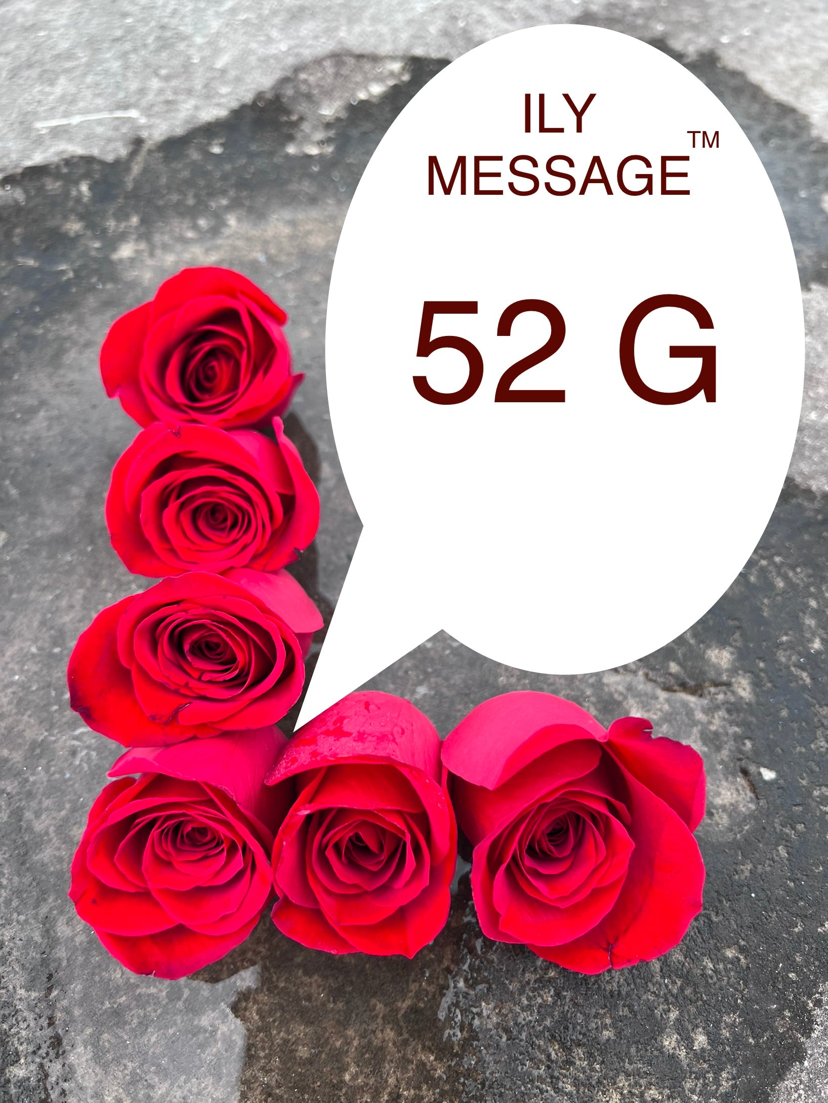 ILY Message® 52G - You are my life itself, the breath in my lungs, and the beat of my heart.