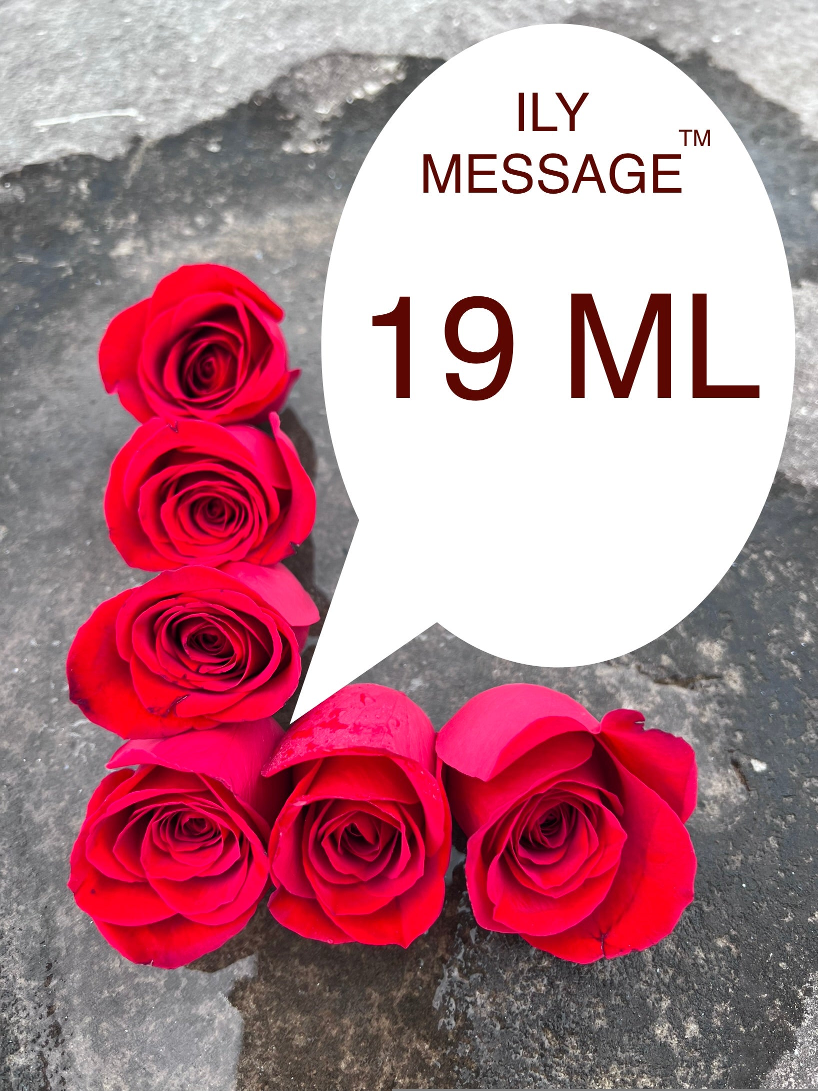 ILY Message® 19ML - My Love, I am blessed to have found you, to share this journey with you, and to love you unconditionally.