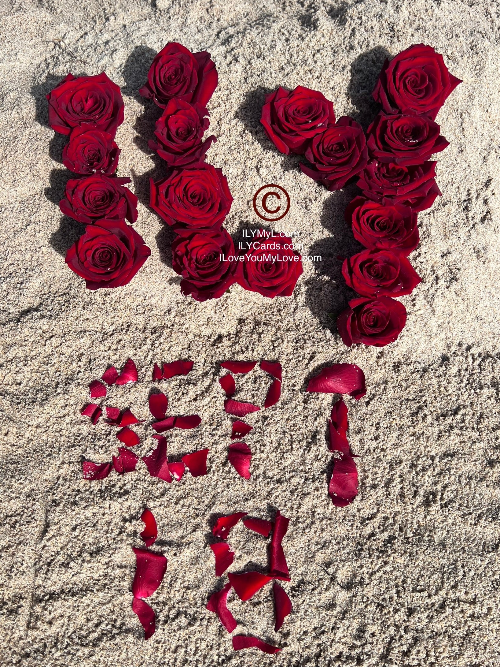 ILY Cards® & ILY Art Digital Image® September 18 Forever Collection