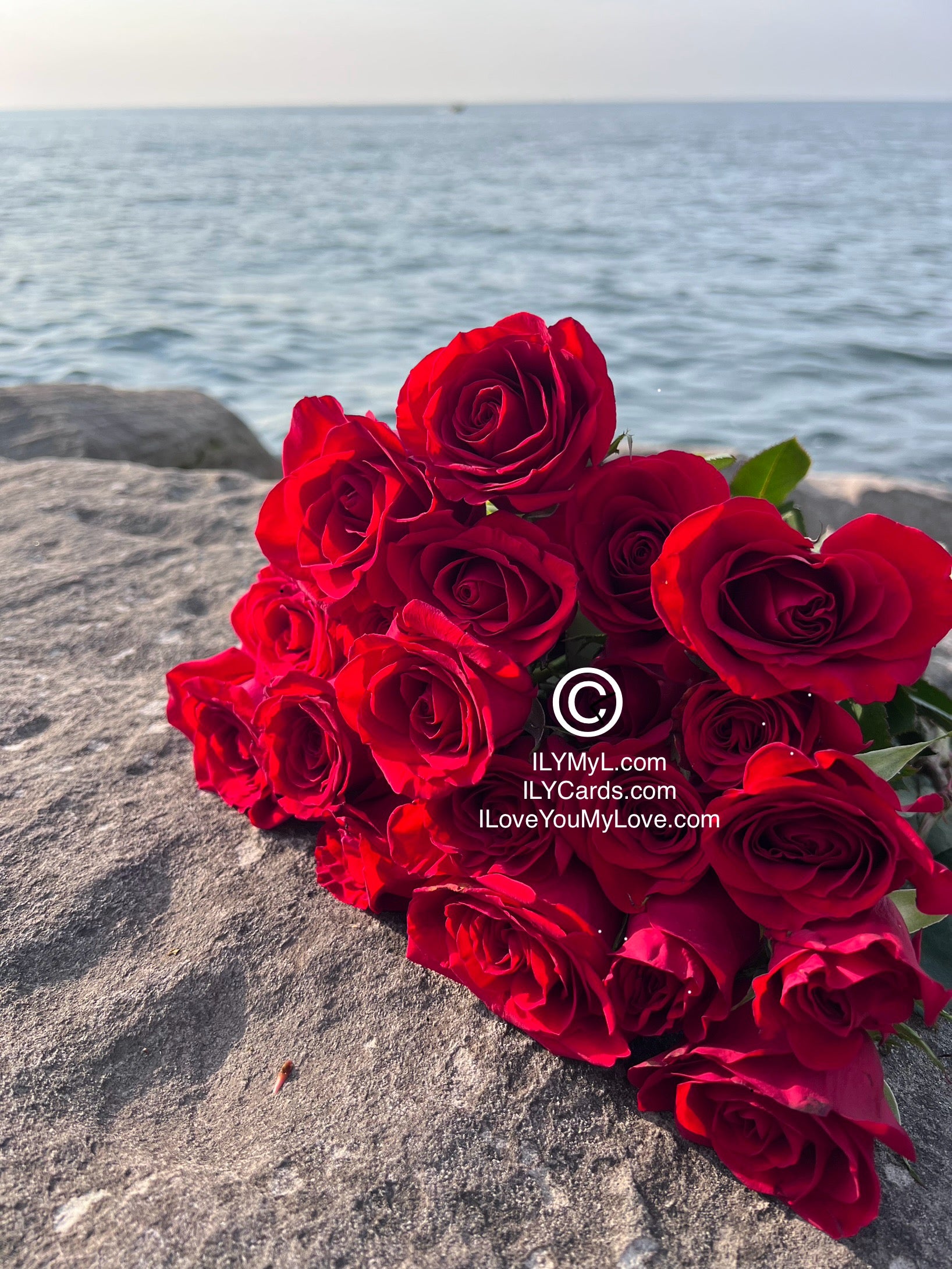 ILY Art Digital Image® Forever Love Celebration Full Bloom Crimson Roses Azure Soulful Panorama September 18 Forever - NFT DIGITAL ART IMAGE