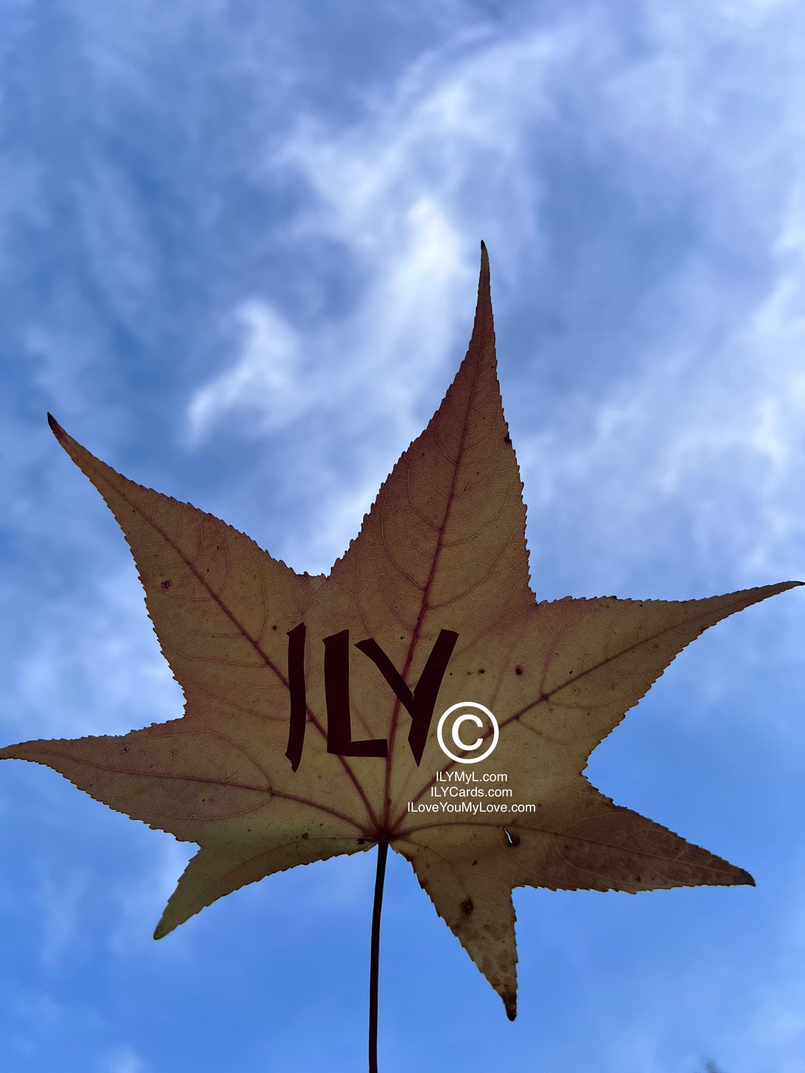 ILY Art Digital Image® BlueSky Single ILY Leaf - NFTs HD DIGITAL ART IMAGE