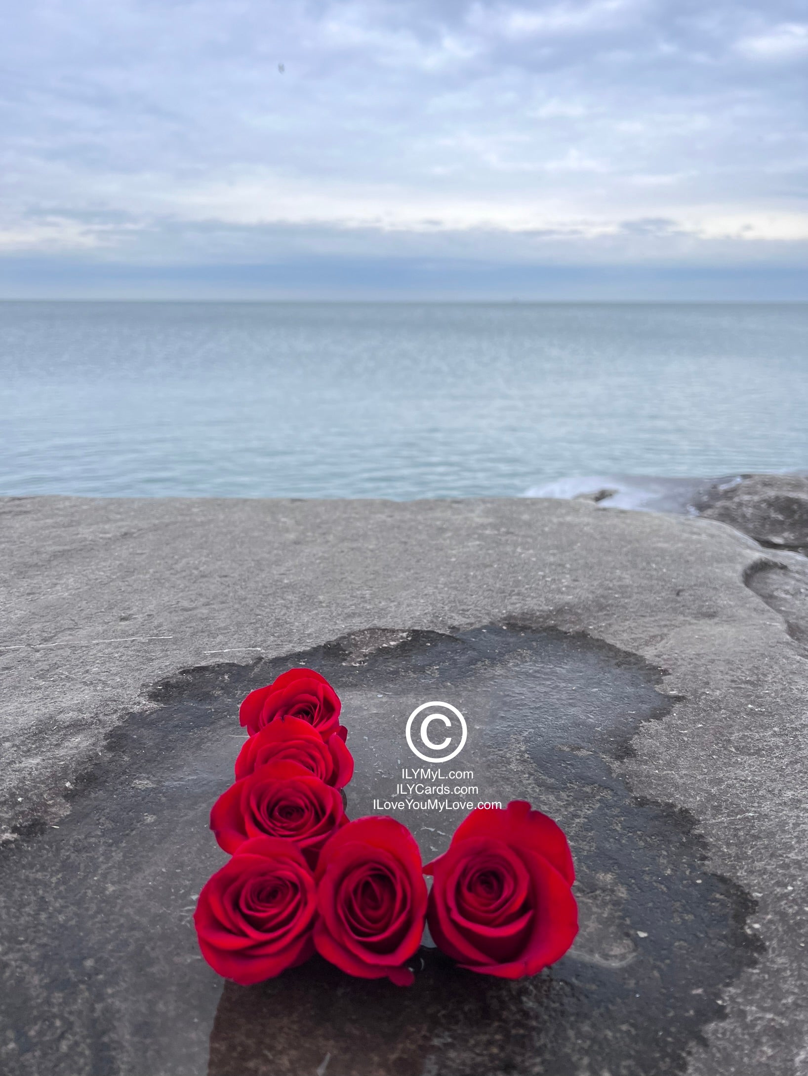 ILY Art Digital Image®  Celestial Love Notes A Rose-Formed L Under Azure Skies - NFTs HD DIGITAL ART IMAGE