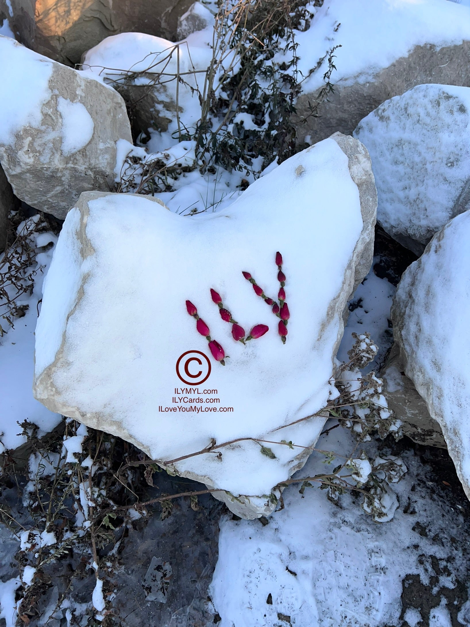 ILY Card® Love Is Everywhere ILY Baby Roses Warm Heart Snow Stone - 8.25 x 5.25 Folding Color Paper Card