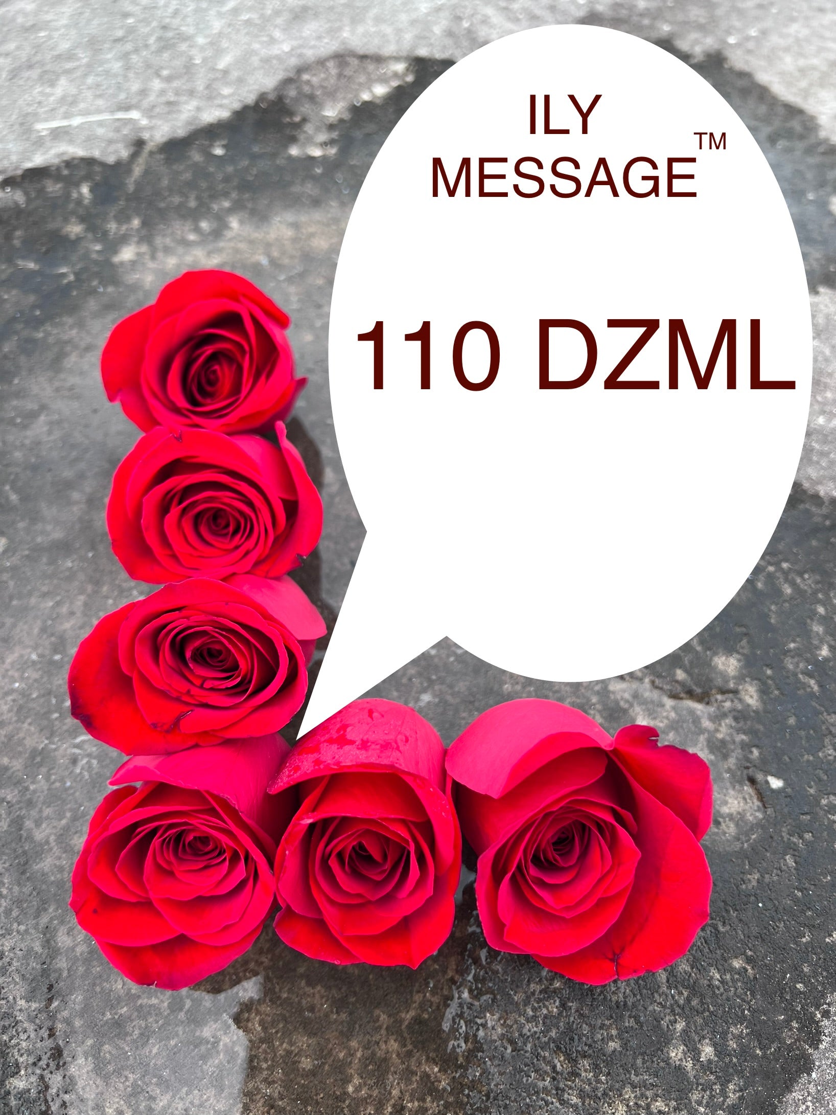 ILY Message® 110DZML - You and I, My Love, have created a world we never knew existed, a world created solely by our union and the deep unified love we share in our hearts.