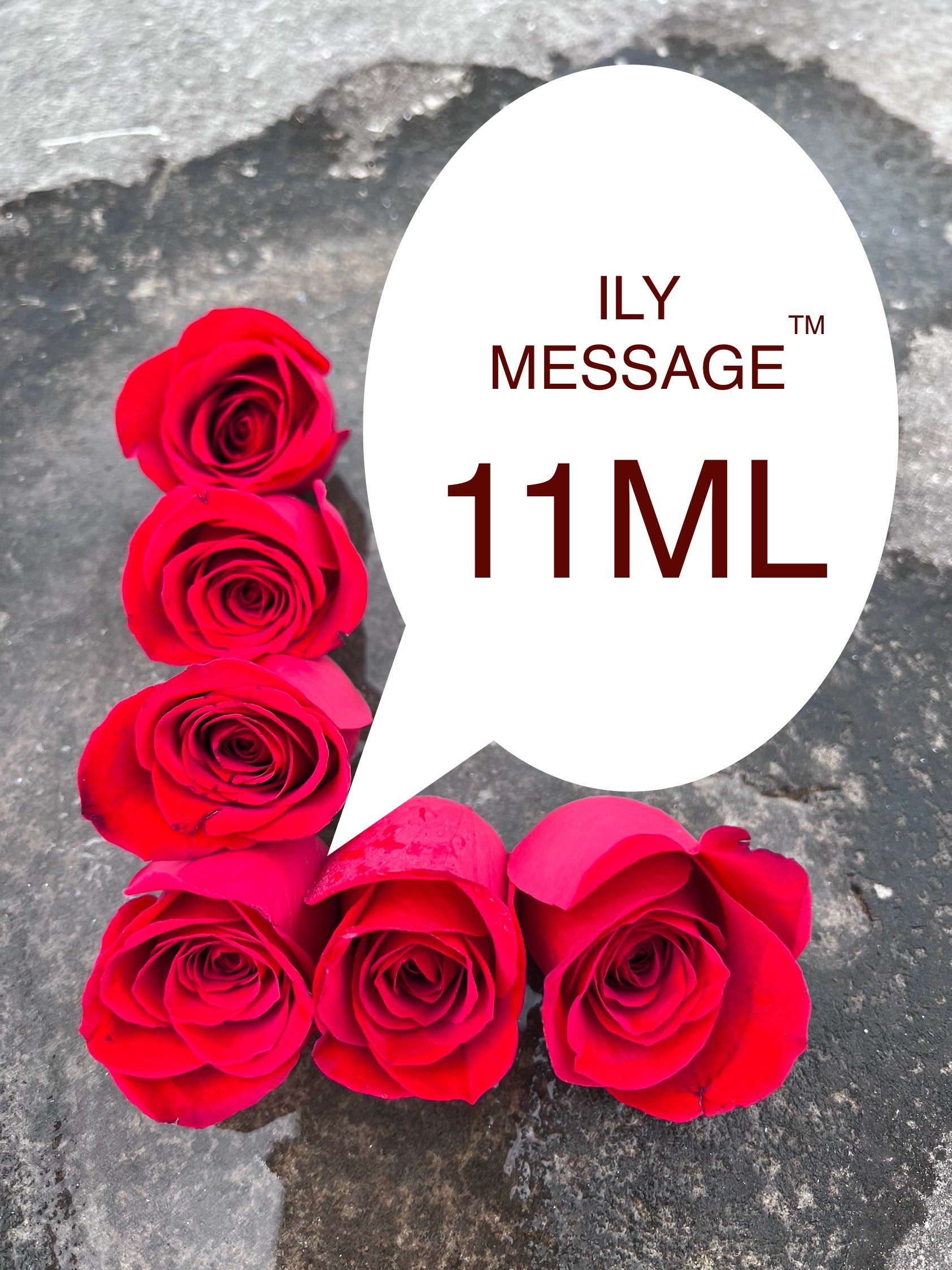 ILY Message® 11ML - My Love, I am grateful every day for the destiny that brought us together, for the love that we share, and for the life that we build together.