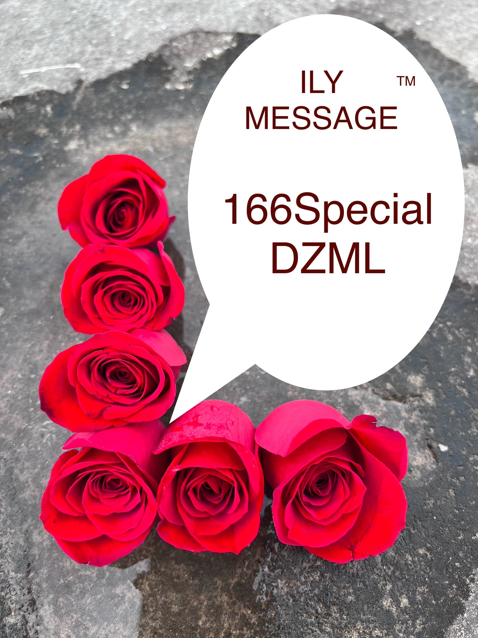 ILY Message® 166SpecialDZML - The Heart's Symphony: Loving You for the Beautiful Moment of Our Pregnancy