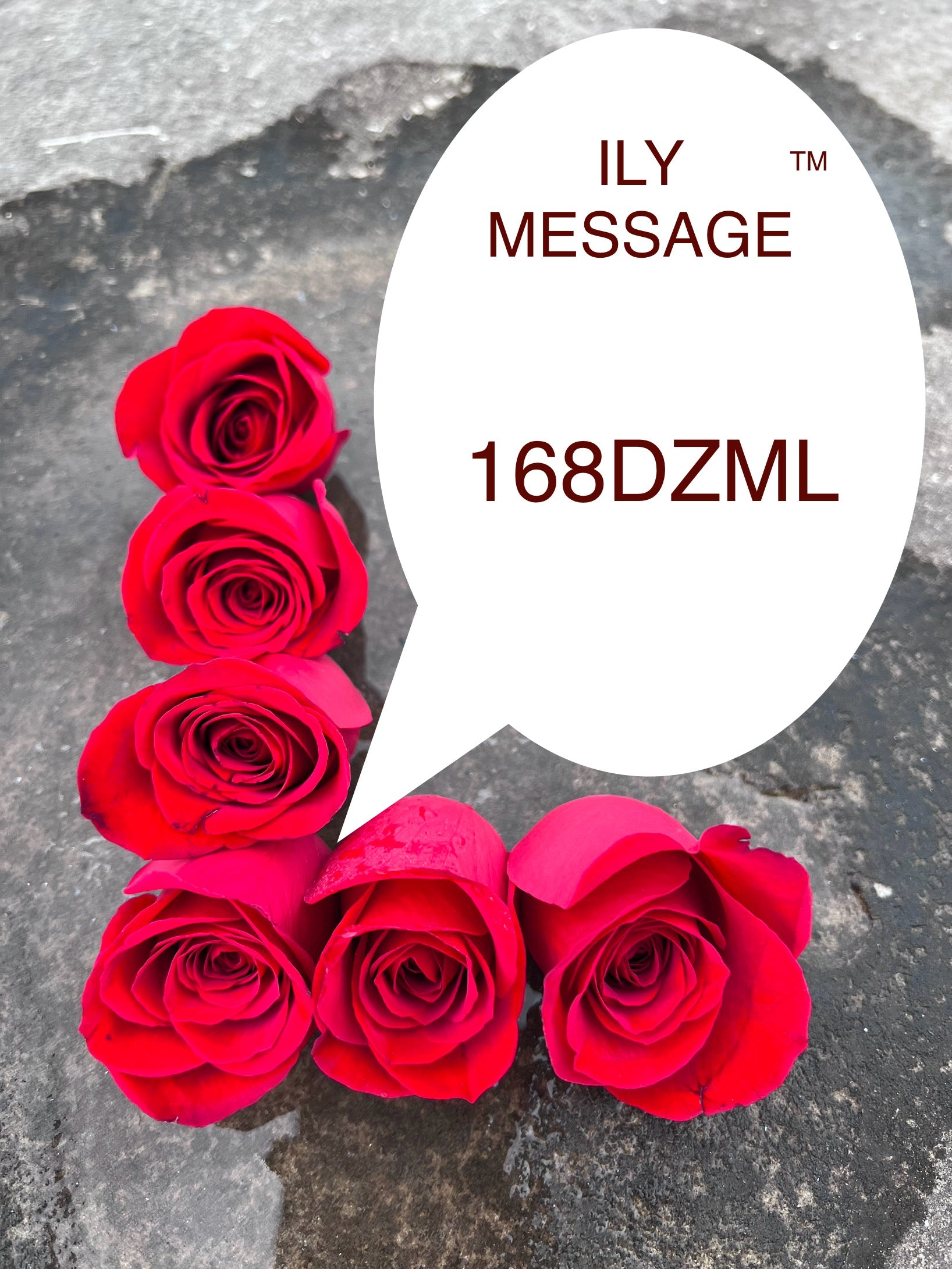 ILY Message® 168DZML - May My Voice Echo Over Land and Sea Loudly Proclaiming, ... I Miss You and I Love You, My Loves!