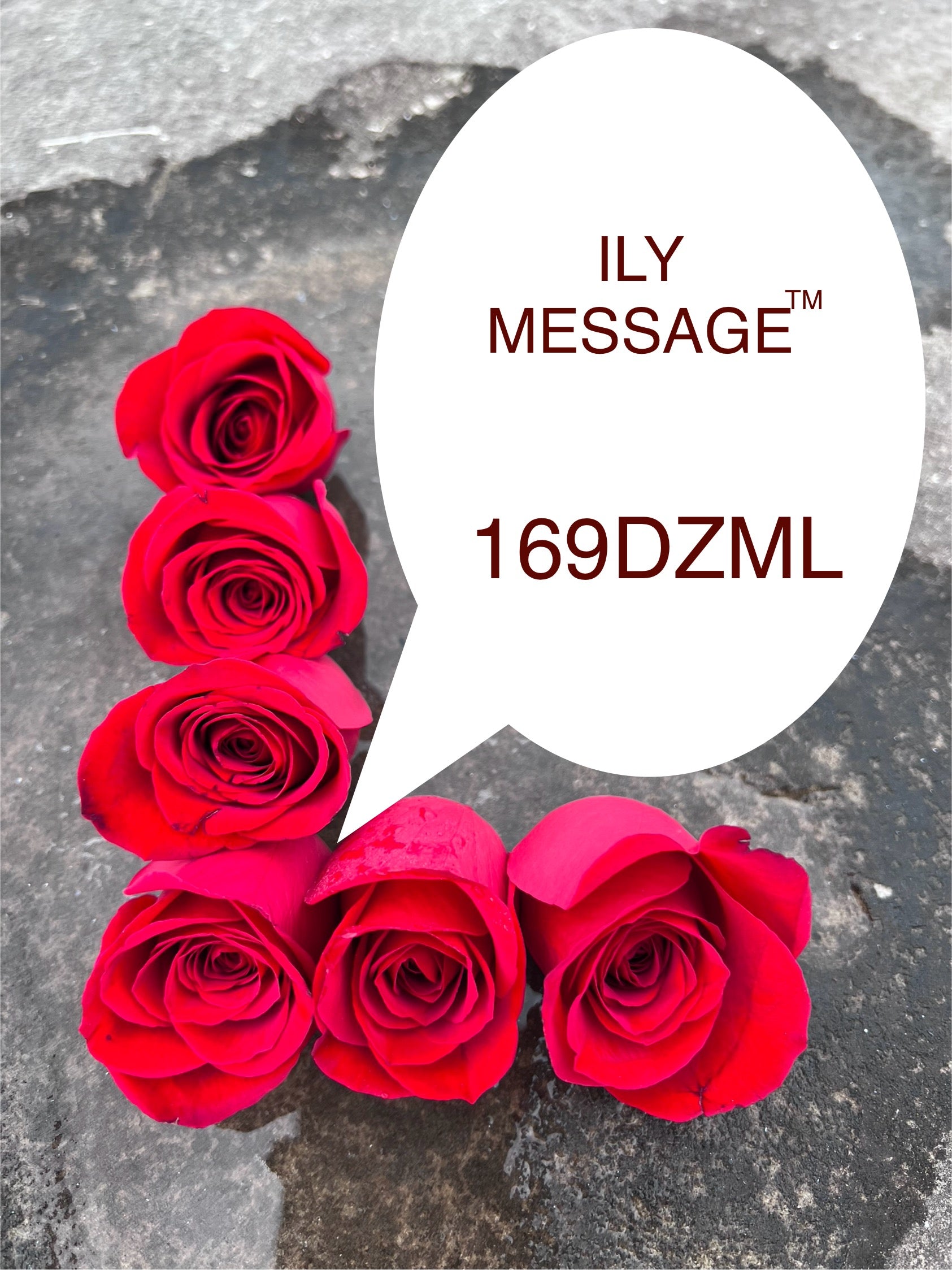 ILY Message® 169DZML - May My Voice Echo Over Land and Sea Loudly Proclaiming, ... I Miss You and I Love You, My Loves!