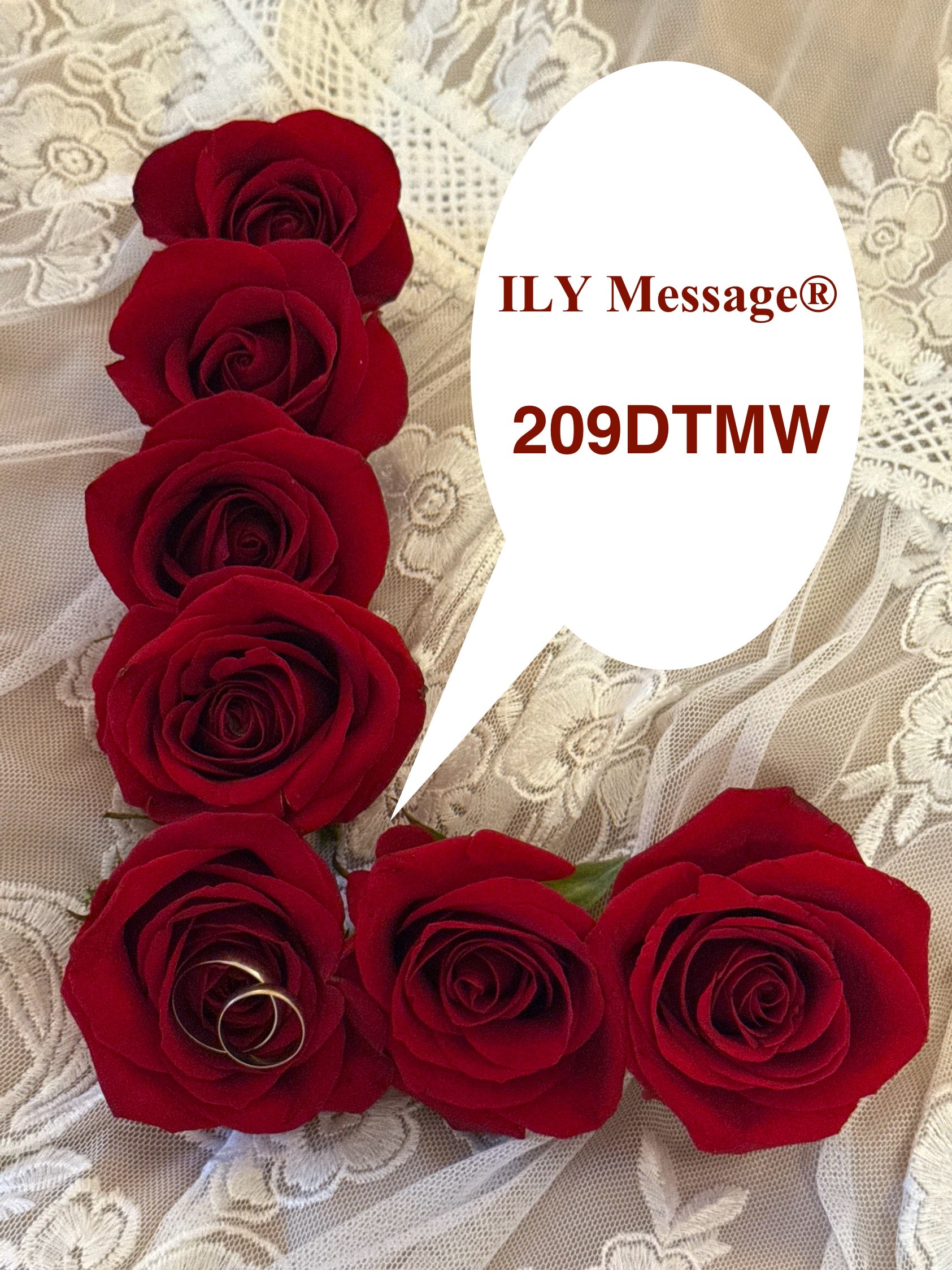 ILY Message® 209DTMW -  I Live Every Moment To the Fullest, Knowing That In Every Moment, My Love Is Always All Yours, MyLove.