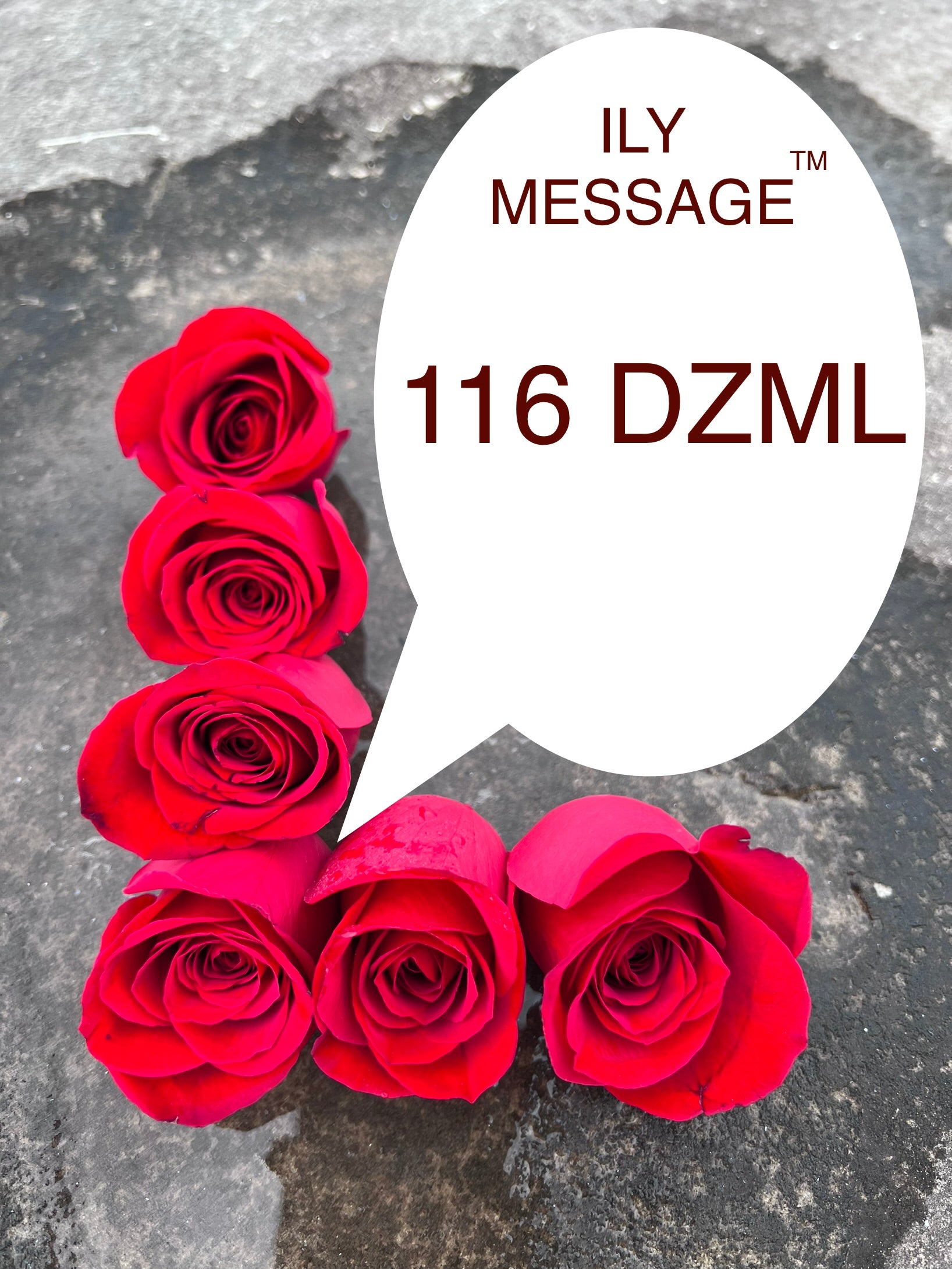 ILY Message® 116DZML - Each flower has a voice of its own, and to you My Love, harmoniously throughout all I am passionately saying: I Love You, My Love