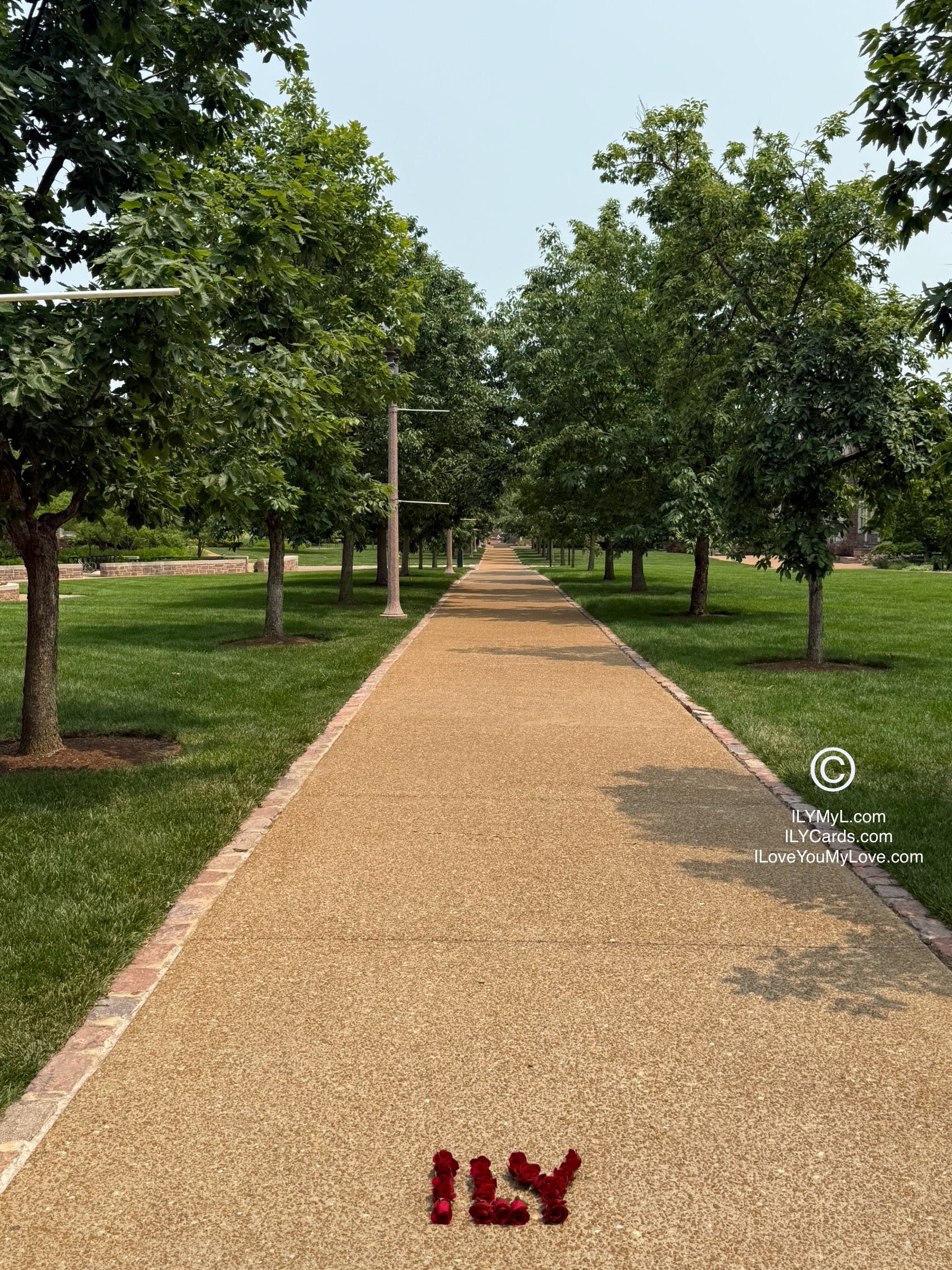 ILY Art Digital Image® WALK THE PATH OF LIFE WITH ME MY LOVE - ILY Digital Message
