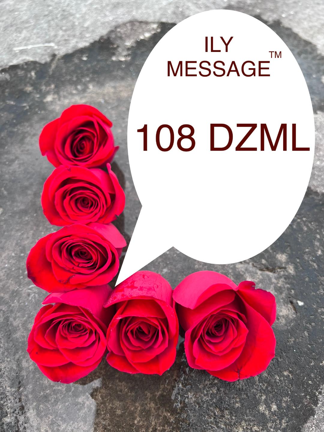 ILY Message® 108DZML - My Love, You are my dream at night, my very first thought in the morning, my guide throughout the day, and the love in my heart.