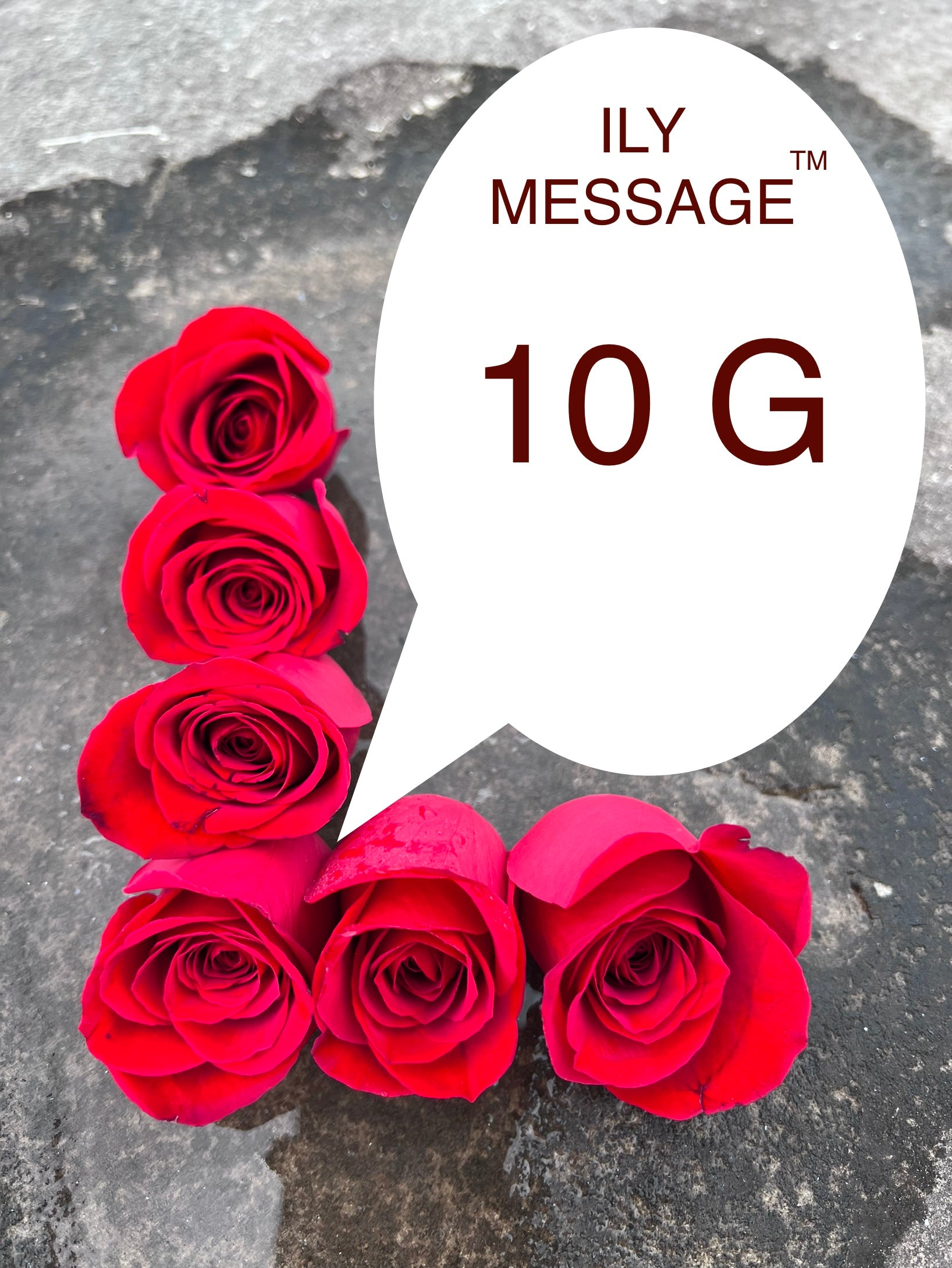 ILY Message® 10G - You are the radiance that illuminates my existence, the celestial counterpart of my aspirations, and the cherished beloved whom I will adore eternally without reservation.