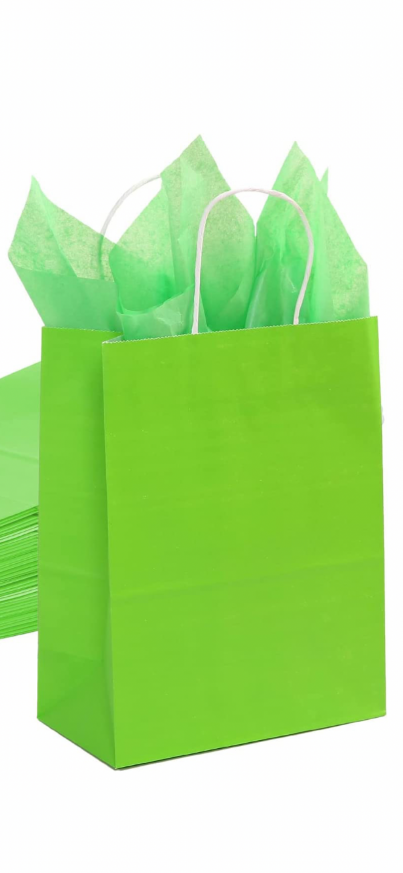 GREEN Premium Paper GIFT BAG w/t Color Tissue Gift Paper, Medium Size 8.2x4.3x11Inch 100% Eco Recycled Paper